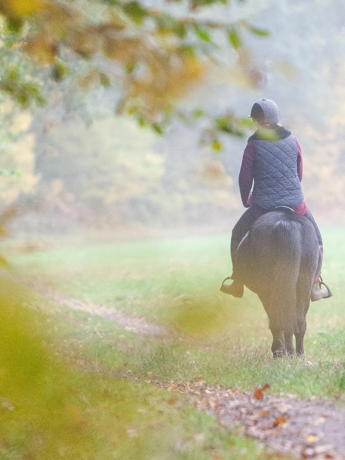 ILLUSTRATION - Eine junge Frau reitet am 27.10.2016 mit einem Pony durch ein Waldstueck bei Gross Groenau in Schleswig-Holstein. (gestellte Szene) Foto: Christin Klose | Verwendung weltweit