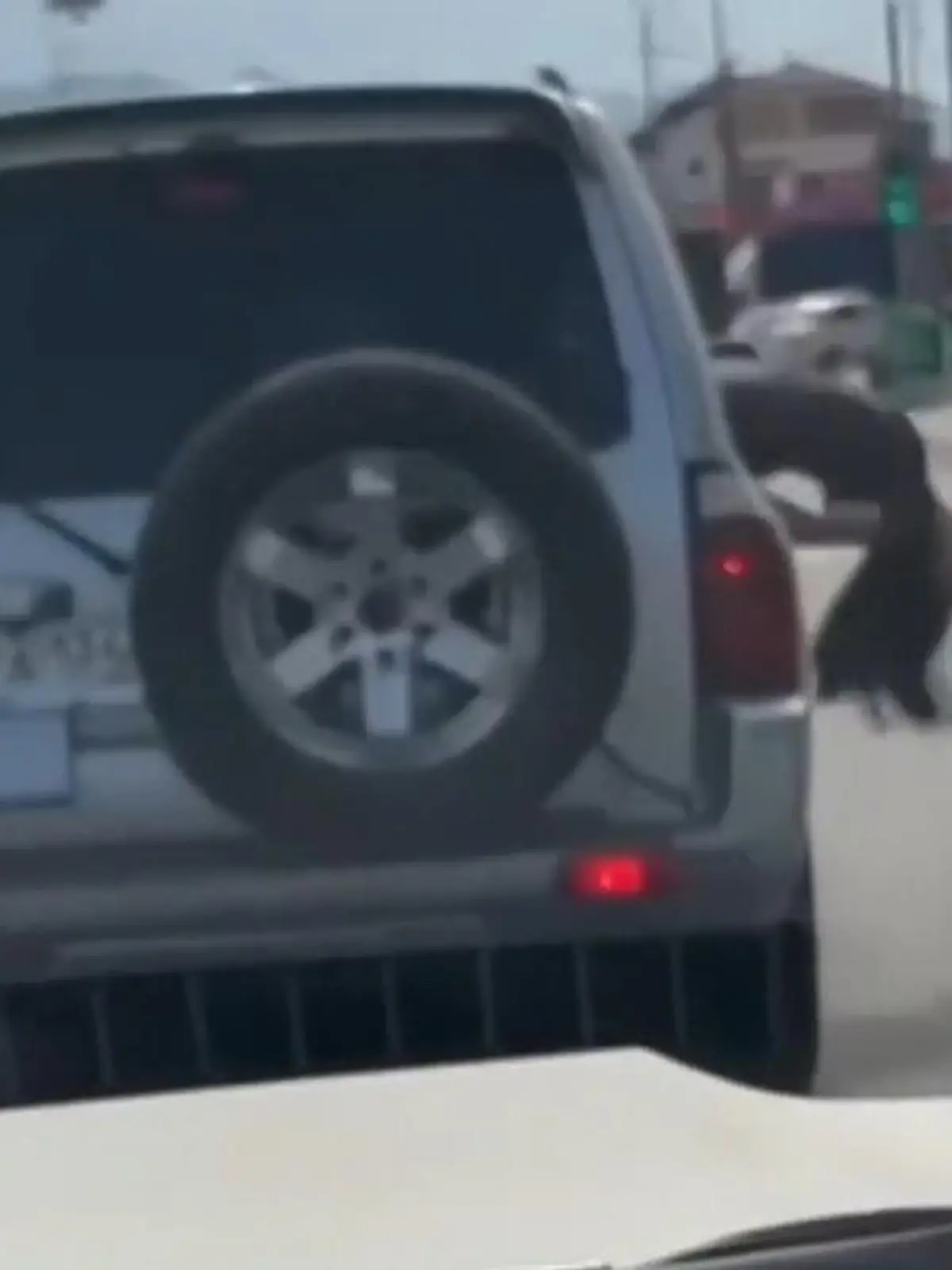 Ein Anschnallgurt schützt anscheinend nicht nur vor Unfällen mit anderen Autos, sondern auch vor Unfällen beim Tanzen. Die Frau hier im Video räkelt sich mitten auf der Straße im Fenster dieses SUVs, als sie ihre Fähigkeiten etwas überschätzt.