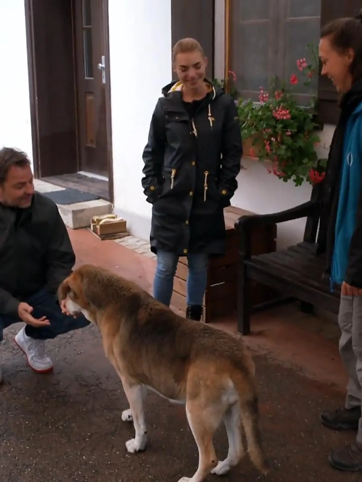 Bild zu: "Hundeprofi Martin Rütter und Trainerin Sophie Grethe machen einen Ausflug."