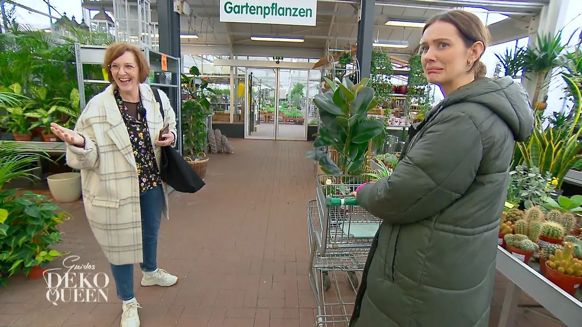 Trotz fehlendem grünen Daumen werden Pflanzen gekauft Grüne Oase