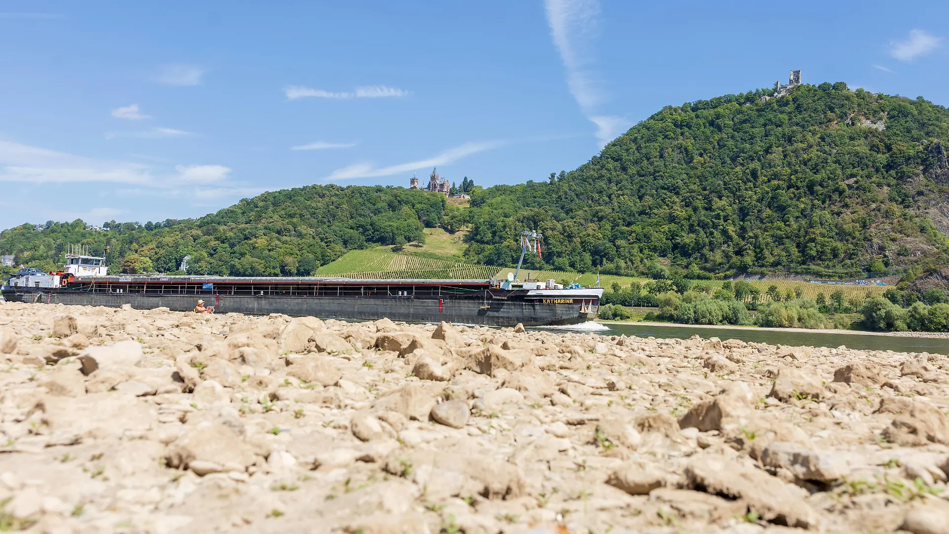 Niedrigwasser bei Pegel 110 cm am Rhein in Bonn Mehlem vor der Kulisse des Drachenfels und Drachenburg. Aufgrund des akuten Regenmangels werden am Ufer großflächiger Sand- und Kiesflächen freigelegt. Die Schifffahrt ist stark eingeschränkt. 03.08.2022 Bonn Mehlem NRW Deutschland *** Low water at level 110 cm on the Rhine in Bonn Mehlem against the backdrop of the Drachenfels and Drachenburg Due to the acute lack of rainfall, large areas of sand and gravel are exposed on the banks Navigation is severely restricted 03 08 2022 Bonn Mehlem NRW Germany