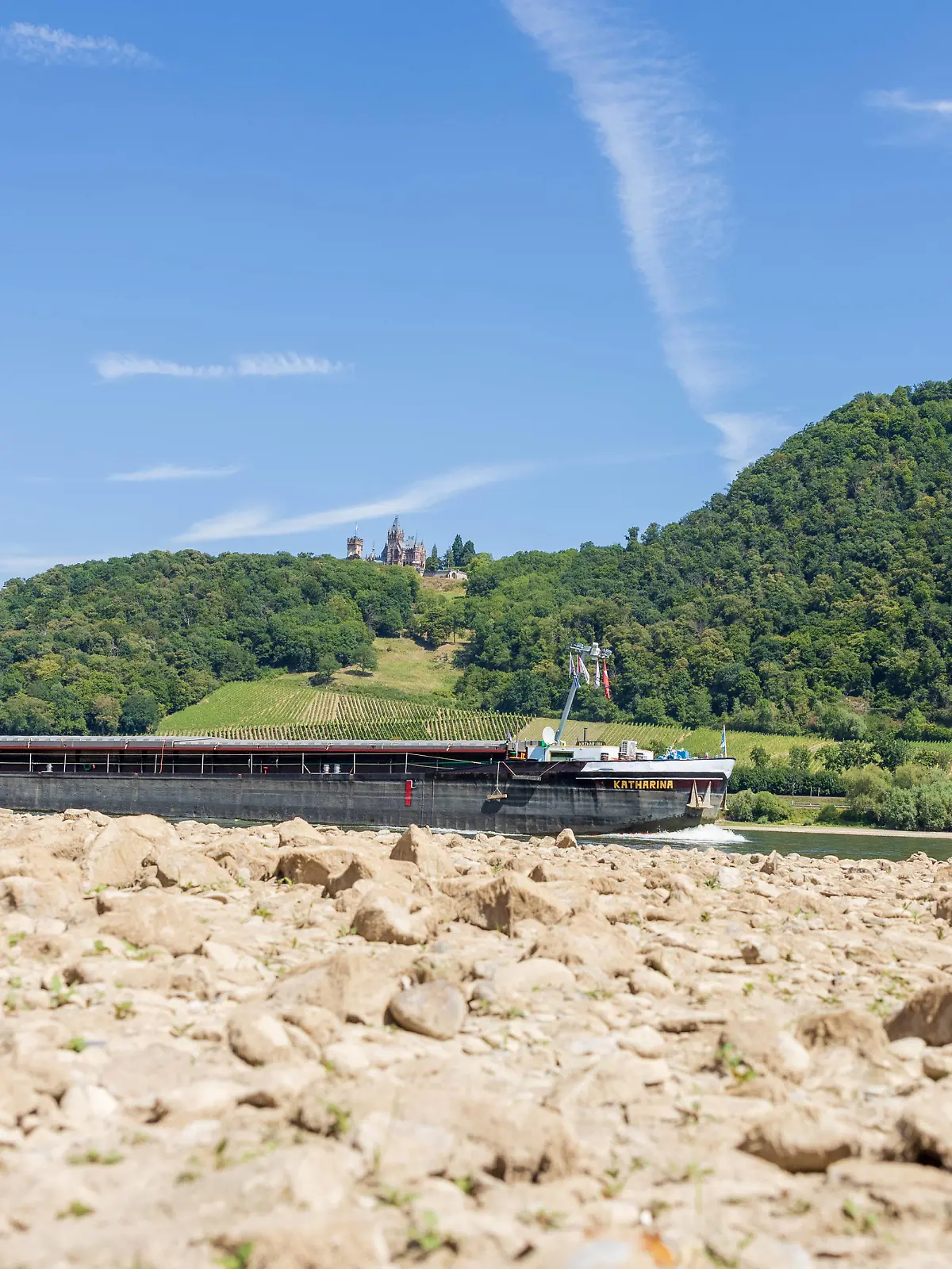  Niedrigwasser bei Pegel 110 cm am Rhein in Bonn Mehlem vor der Kulisse des Drachenfels und Drachenburg. Aufgrund des akuten Regenmangels werden am Ufer großflächiger Sand- und Kiesflächen freigelegt. Die Schifffahrt ist stark eingeschränkt. 03.08.2022 Bonn Mehlem NRW Deutschland *** Low water at level 110 cm on the Rhine in Bonn Mehlem against the backdrop of the Drachenfels and Drachenburg Due to the acute lack of rainfall, large areas of sand and gravel are exposed on the banks Navigation is severely restricted 03 08 2022 Bonn Mehlem NRW Germany