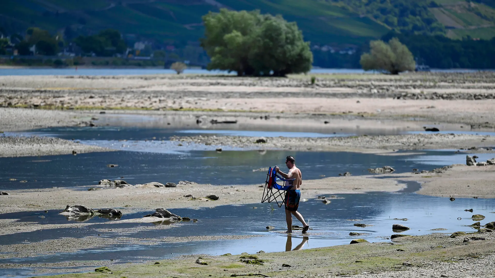Niedrigwasser auf dem Rhein 07.08.2022 Lorchhausen. Nach wochenlanger Trockenheit, Niedrigwasser auf dem Rhein. Ein Mensch läauft über die Steine des ausgetrockneten Flussbetts. Lorchhausen Lorchhausen Rheinland-Pfalz Germany *** Low water on the Rhine 07 08 2022 Lorchhausen After weeks of drought, low water on the Rhine A man runs over the stones of the dried up riverbed Lorchhausen Lorchhausen Rheinland Pfalz Germany