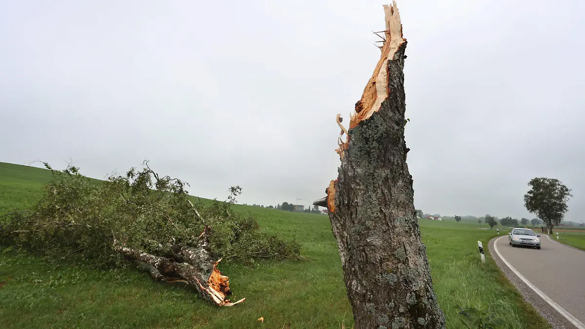 06.08.2022, Baden-Württemberg, Bad Wurzach: Der Stamm eines vom Sturm abgebrochenen Baumes steht am Straßenrand. Foto: Karl-Josef Hildenbrand/dpa +++ dpa-Bildfunk +++