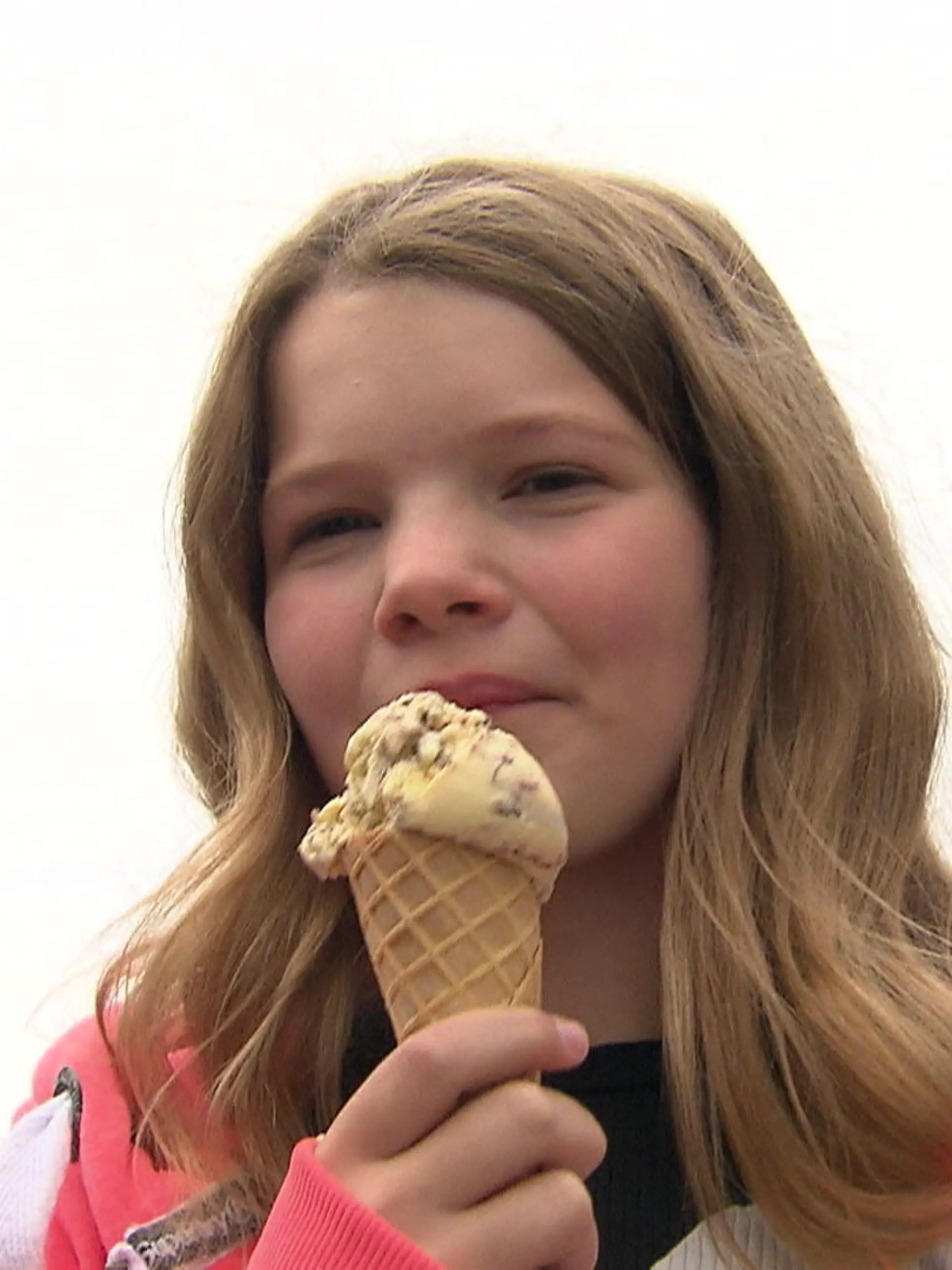 Bild zu: "Kölner Eiswagen auf dem Prüfstand"