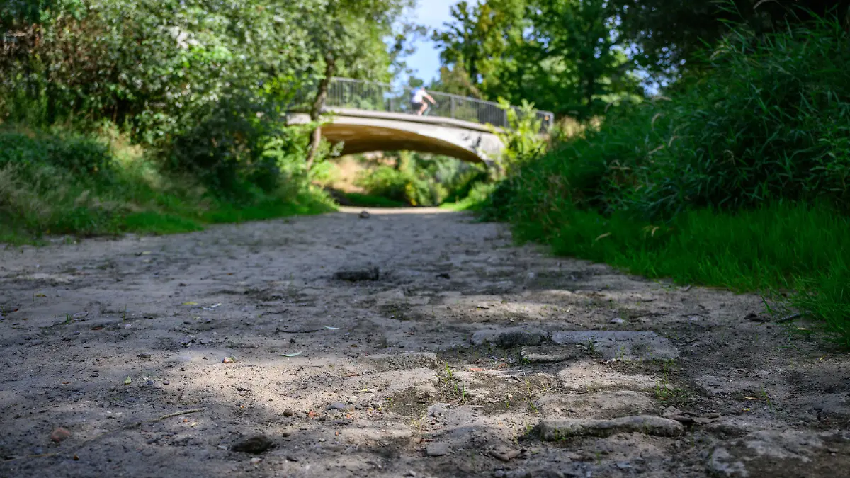 04.08.2022, Sachsen, Dresden: Ausgetrocknet ist das Flussbett der Prießnitz an der Mündung zur Elbe. Foto: Robert Michael/dpa +++ dpa-Bildfunk +++