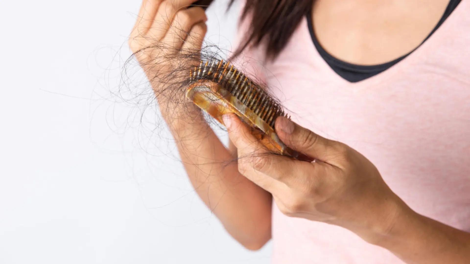 Woman hand hoding hairs fall in comb, hair fall everyday serious problem. Girl Hairs fall with a comb and problem hair isolated on white background