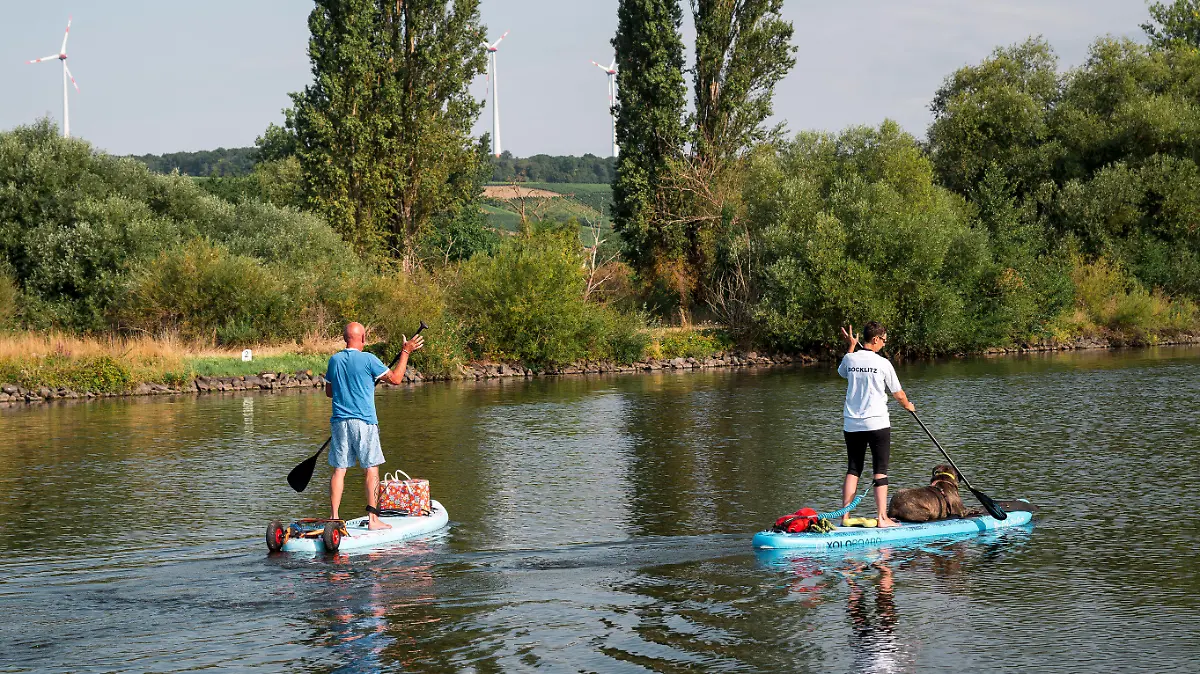 30.07.2022, Bayern, Volkach: Zwei Stand-up Paddler fahren auf dem Main zusammen mit ihrem Hund an Board entlang. Foto: Daniel Vogl/dpa +++ dpa-Bildfunk +++