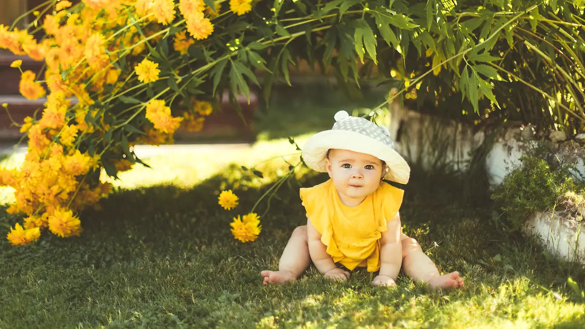 A child is sitting in the garden under a large yellow bush of flowers. A little girl in a yellow dress and hat learns nature, the summer sun, green grass, a blurred background.