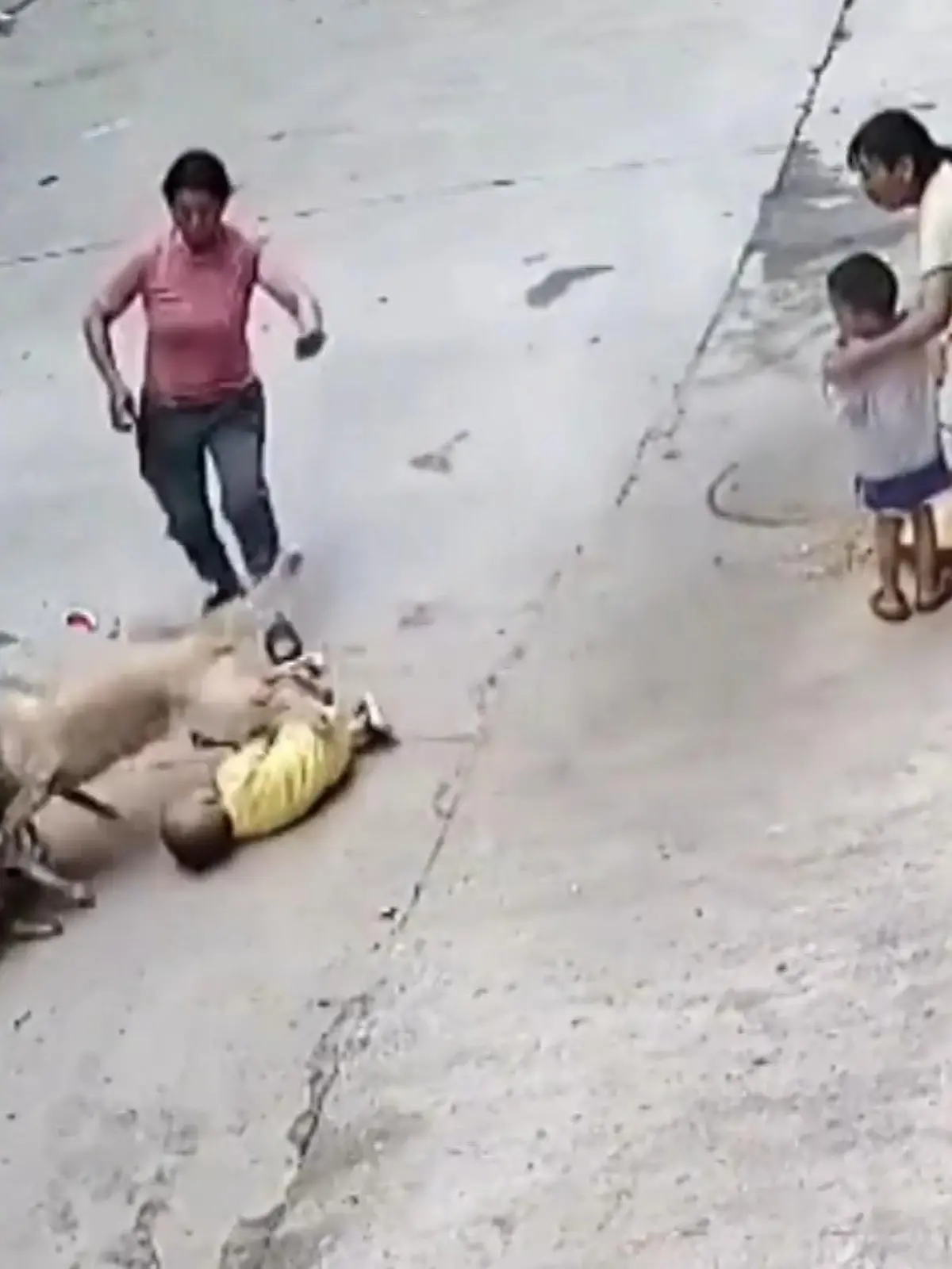 Dieser Hund hat sein kleines Herrchen vor einem ernsthaften Angriff eines Streuners bewahrt. Seit sieben Jahren lebt Xiao Bai bei der Familie. Dem Kind geht es gut. Wir zeigen sein heldenhaftes Eingreifen im Vide.