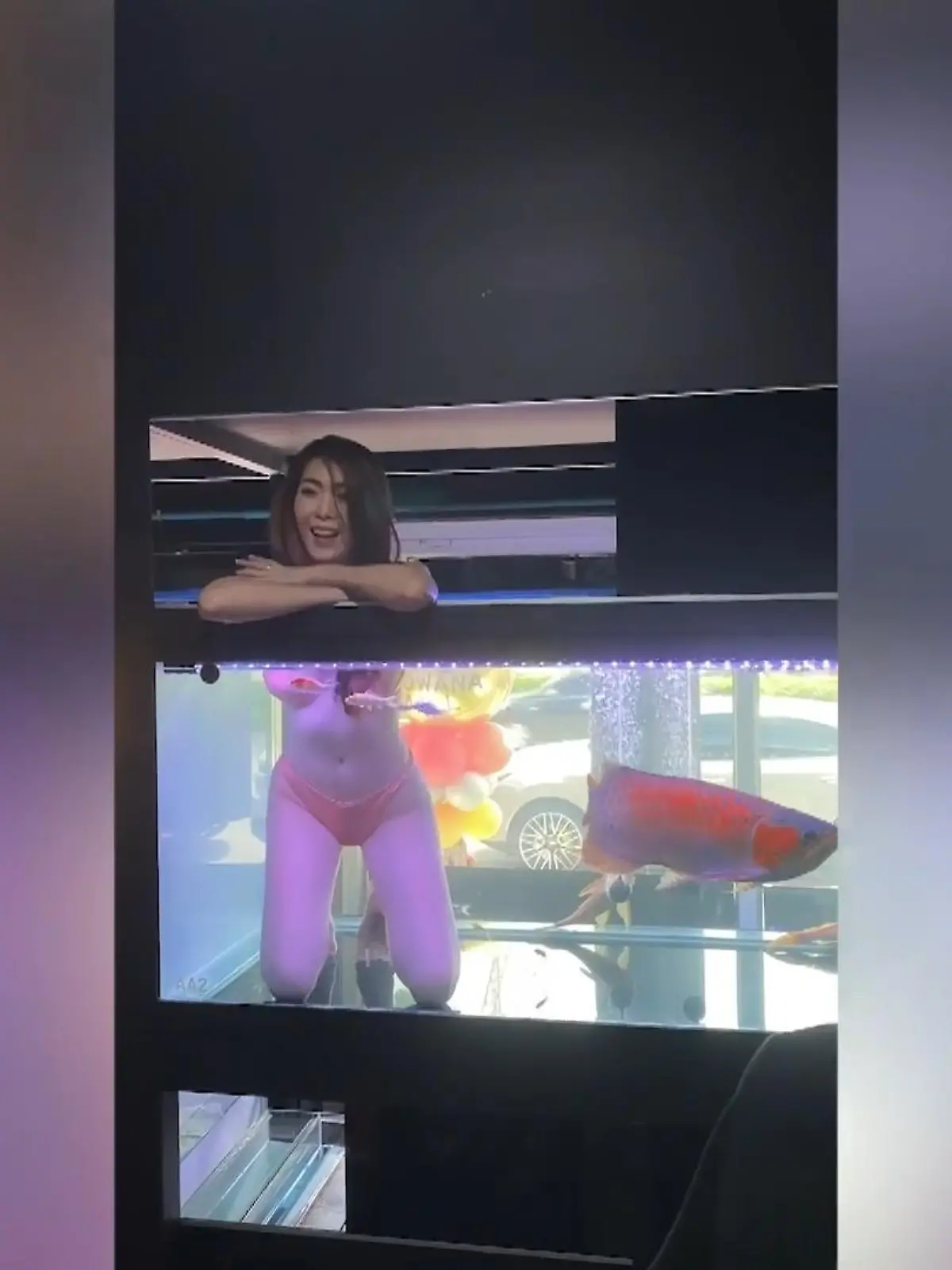 Der Besitzer einer Tierhandlung in Bangkok hat sich zur Eröffnung seines Geschäfts etwas ganz Außergewöhnliches ausgedacht. Halb nackte Frauen teilen sich zusammen mit den Fischen die Aquarien. Wie das ankommt, können Sie sich im Video ansehen.