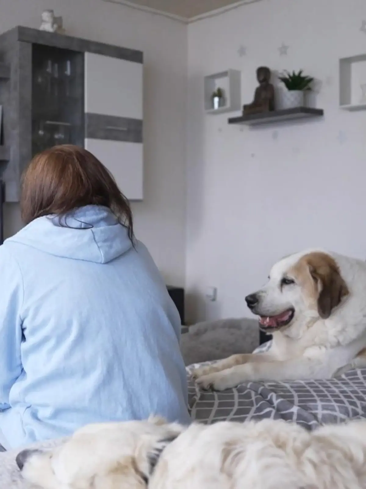 Bild zu: "Geisterjägerin Nicole ist Schalke-Fan"