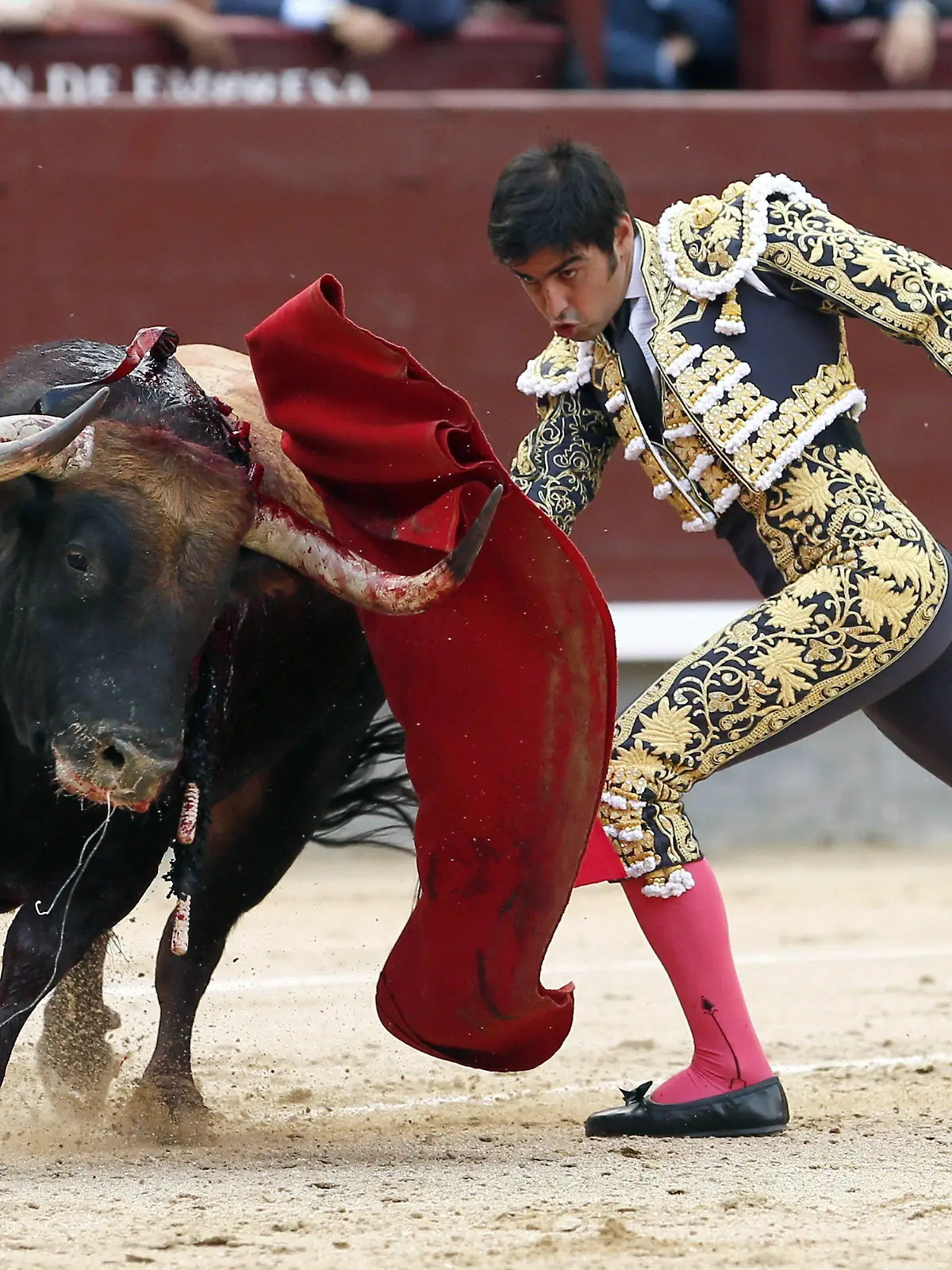 epa04782051 Spanish bullfighter Miguel Angel Perera fights with his first bull during the Welfare bullfight held at Las Ventas bullring in Madrid, Spain, 03 June 2015. EPA/JUANJO MARTIN +++(c) dpa - Bildfunk+++