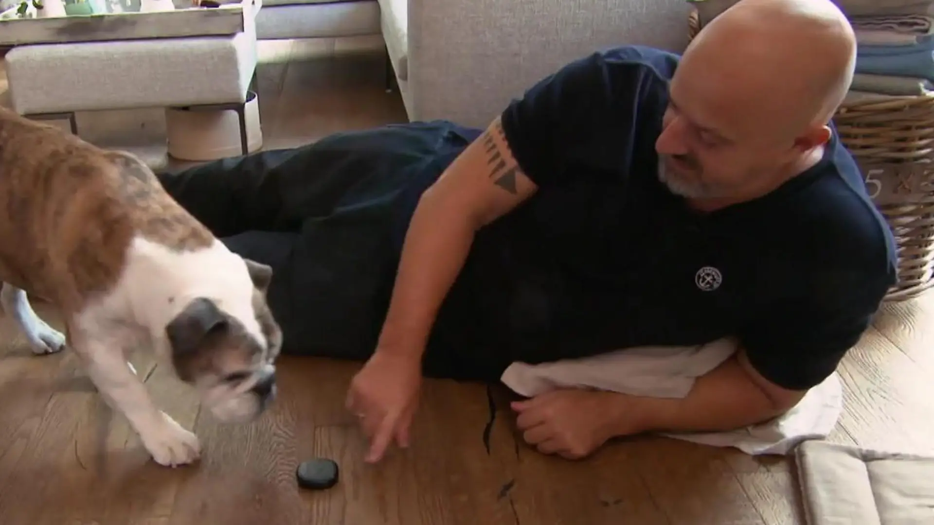 Wird Detlef Steves' Kai-Uwe die benutzen? Hot oder Schrott: Eine Klingel für Hunde!