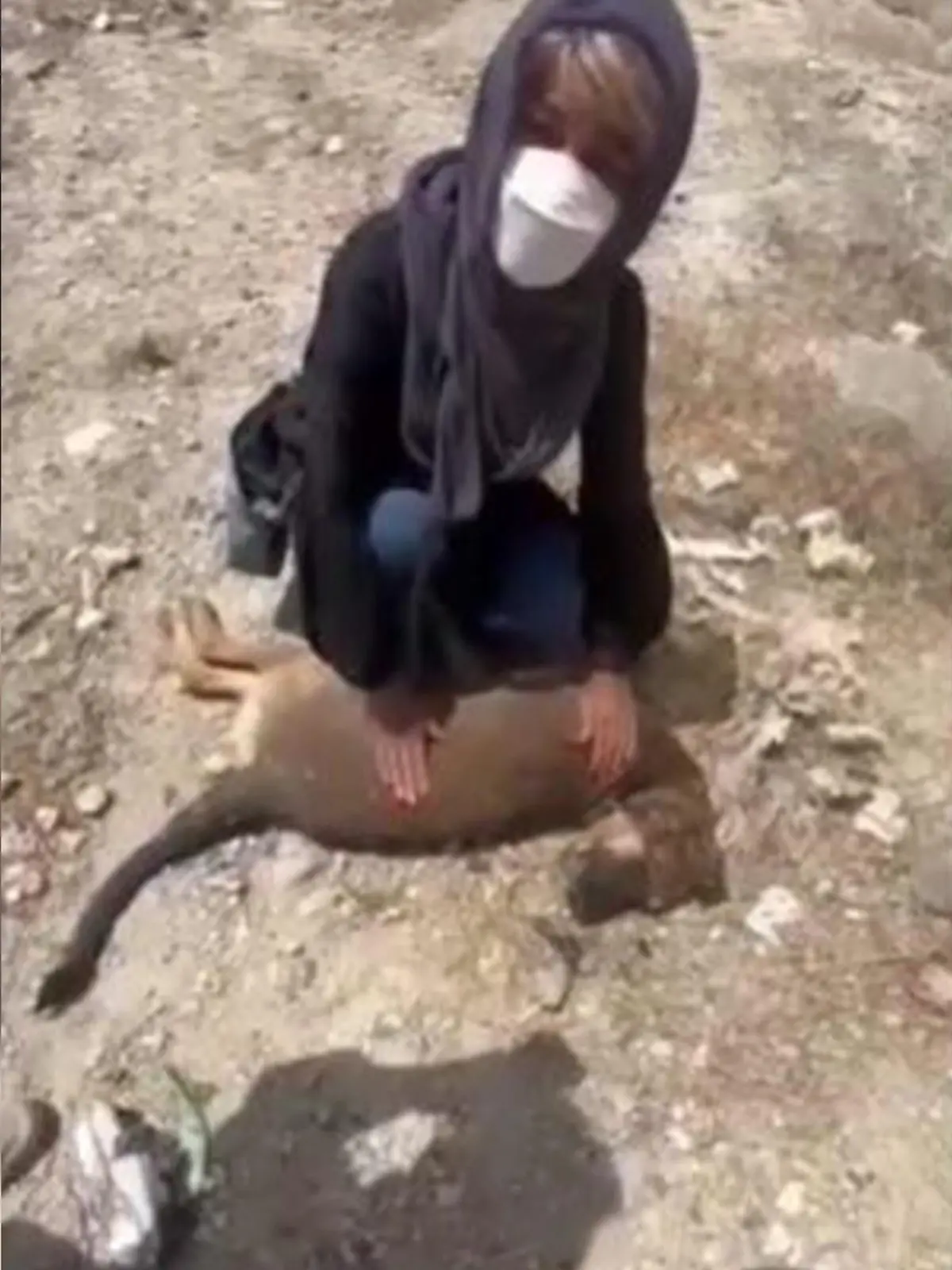 Die Journalistin und Aktivistin Masih Alinejad kniet über einen toten Hund in Damavand und weint.