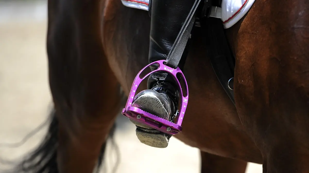 ILLUSTRATION - 18.07.2013, NA, --: Mit pinkfarbenen Sicherheits-Steigbügeln sitzt eine junge Reiterin auf ihrem Pferd. Bei einem Reitunfall hat sich eine 25-Jährige schwer verletzt. (zu dpa: «25-Jährige bei Reitunfall in Eddelak schwer verletzt») Foto: Britta Pedersen/dpa-Zentralbild/dpa +++ dpa-Bildfunk +++