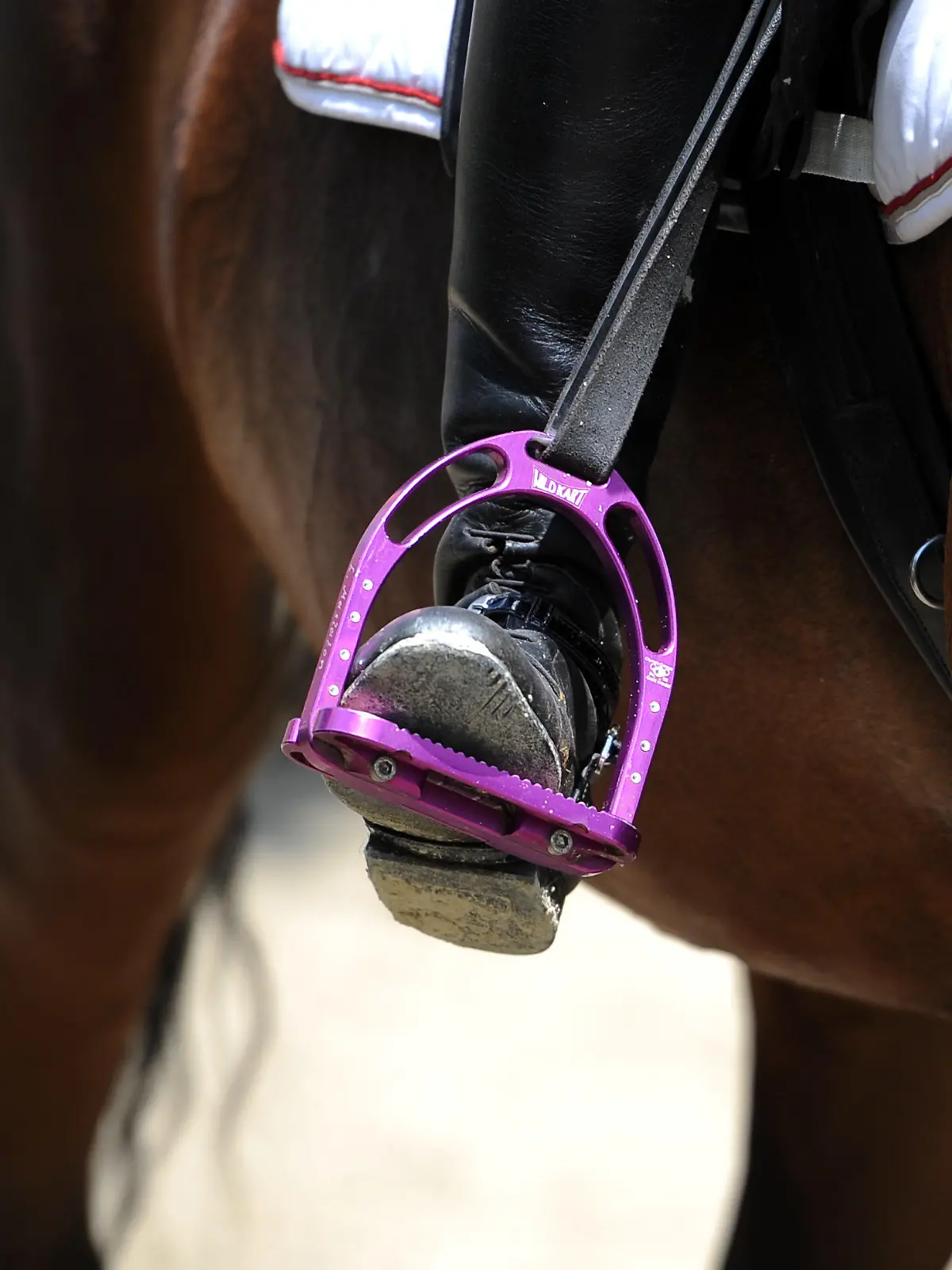 ILLUSTRATION - 18.07.2013, NA, --: Mit pinkfarbenen Sicherheits-Steigbügeln sitzt eine junge Reiterin auf ihrem Pferd. Bei einem Reitunfall hat sich eine 25-Jährige schwer verletzt. (zu dpa: «25-Jährige bei Reitunfall in Eddelak schwer verletzt») Foto: Britta Pedersen/dpa-Zentralbild/dpa +++ dpa-Bildfunk +++