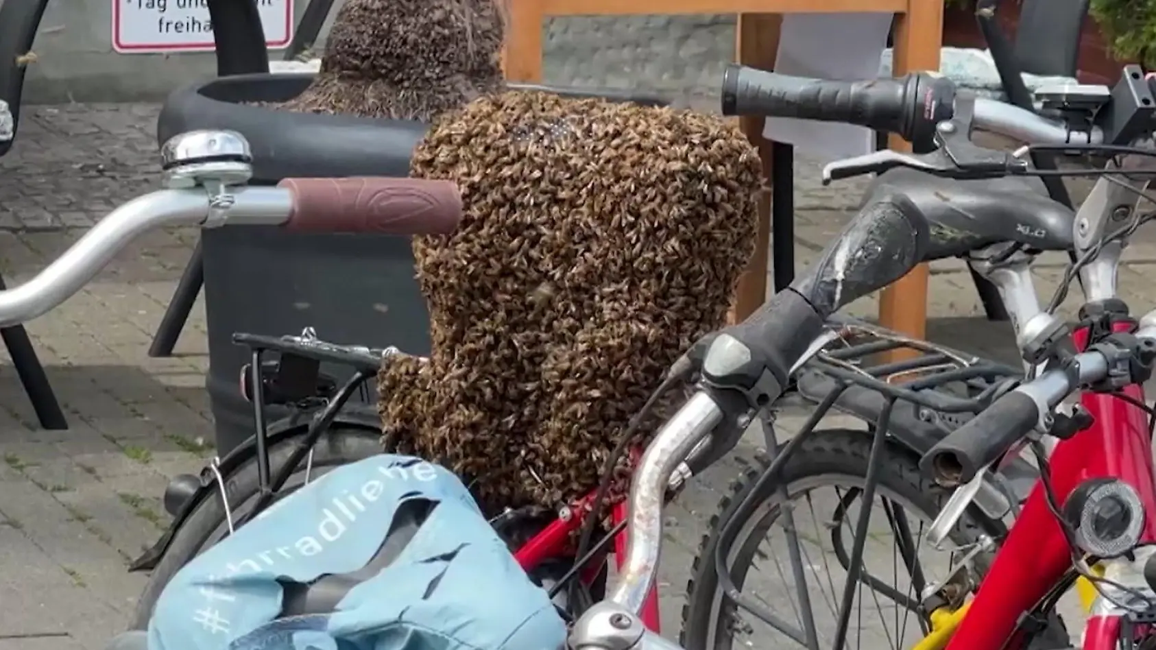 Königin besetzt Fahrradsattel