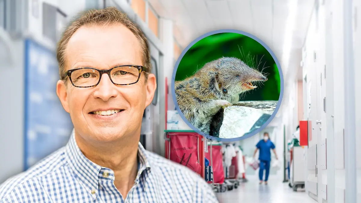 Dr. Specht/Krankenstation/Feldmaus