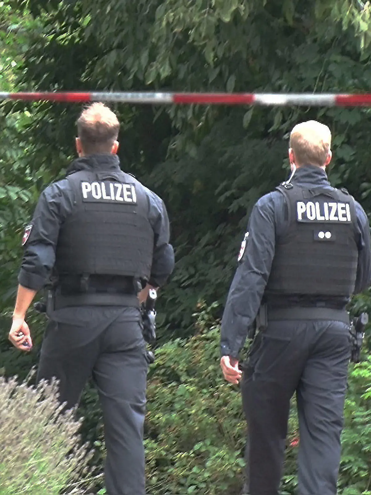 23.07.2023, Niedersachsen, Spelle: Zwei Polizisten gehen hinter einer Absperrung zu einem Gebüsch. Eine Spaziergängerin hat in einem Gebüsch in Spelle (Landkreis Emsland) einen toten Mann gefunden. Ein Fremdverschulden wird nicht ausgeschlossen, teilte die Polizei am Sonntagabend mit. Aus ermittlungstaktischen Gründen könne die Polizei aber derzeit nicht mehr zu dem Fund vom Mittag herausgeben, sagte eine Sprecherin in Lingen. Foto: -/NWM-TV/dpa +++ dpa-Bildfunk +++