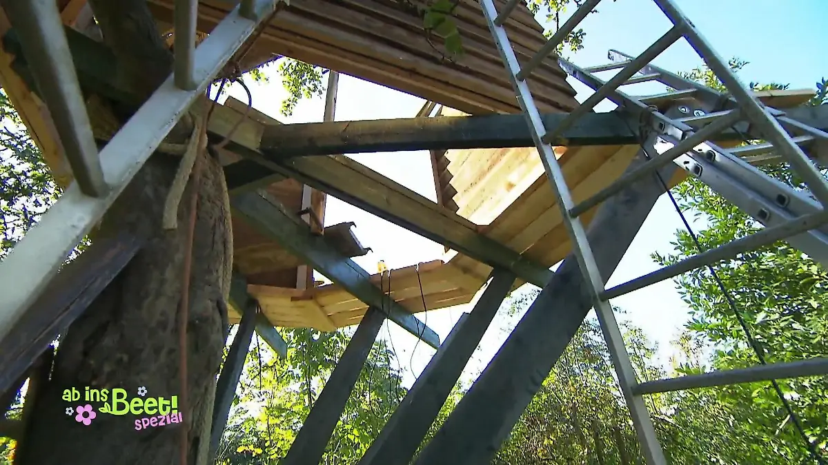 Ralf möchte ein Baumhaus bauen Fußboden verlegen
