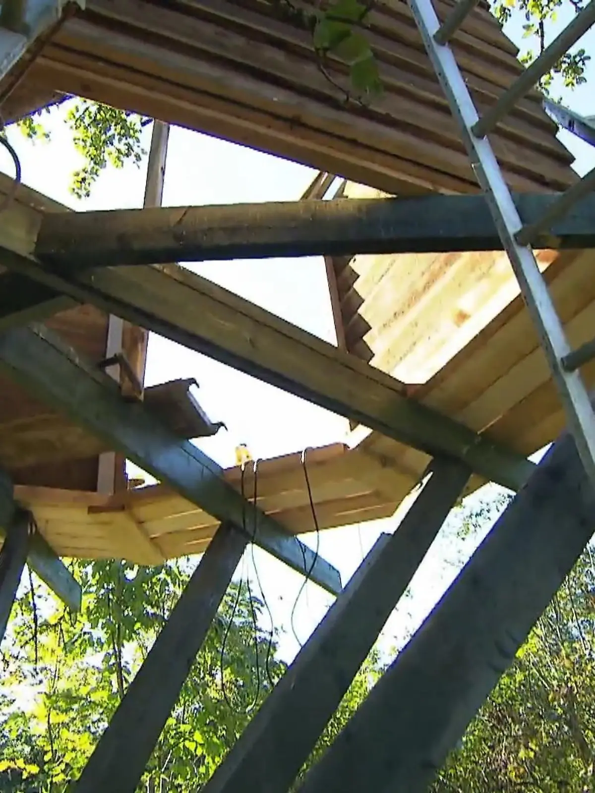 Bild zu: "Ralf möchte ein Baumhaus bauen"