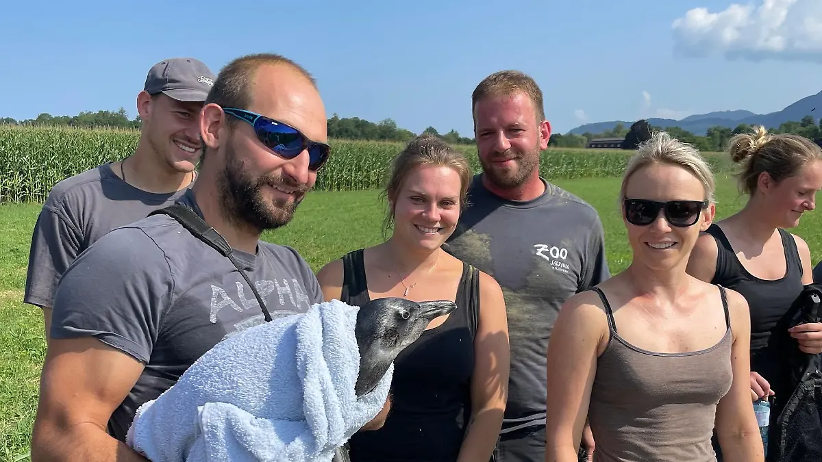 Bei allen herrschte große Erleichterung, dass das Pinguinbaby unverletzt war.