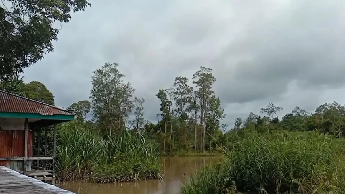 Indonesische Inseln bewegen sich wie von Zauberhand Was ist denn hier los?!