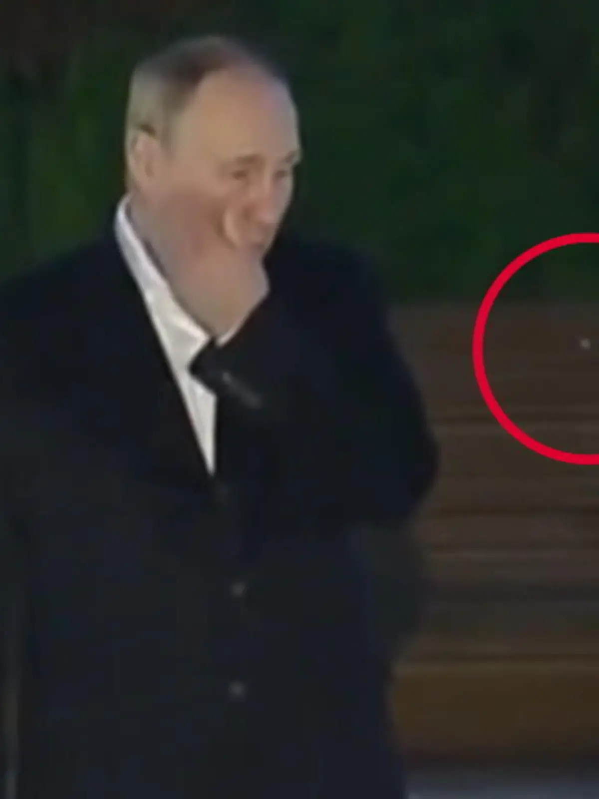 Huch - was ist denn da los? Obwohl Russlands Präsident Wladimir Putin Rechtshänder ist, verscheucht er eine Mücke mit der linken Hand. Ist sein Arm möglicherweise gelähmt?