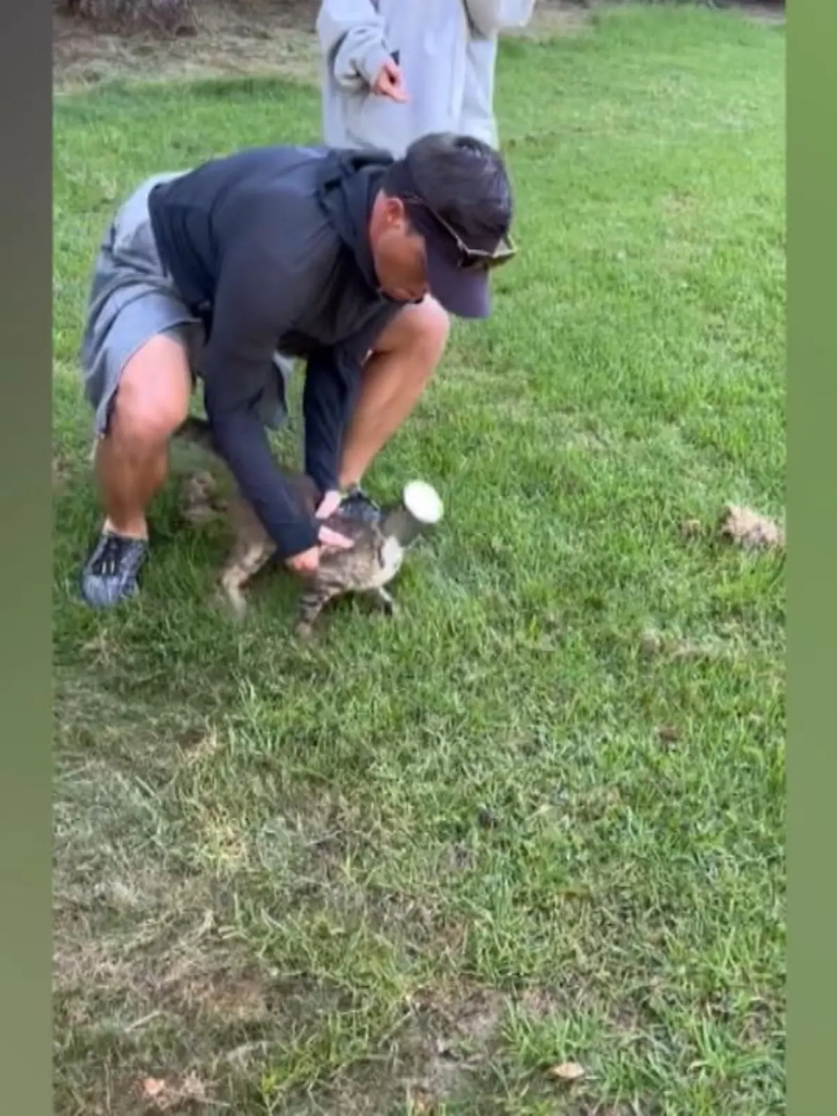 Bild zu: " Familie rettet hilflose Katze"