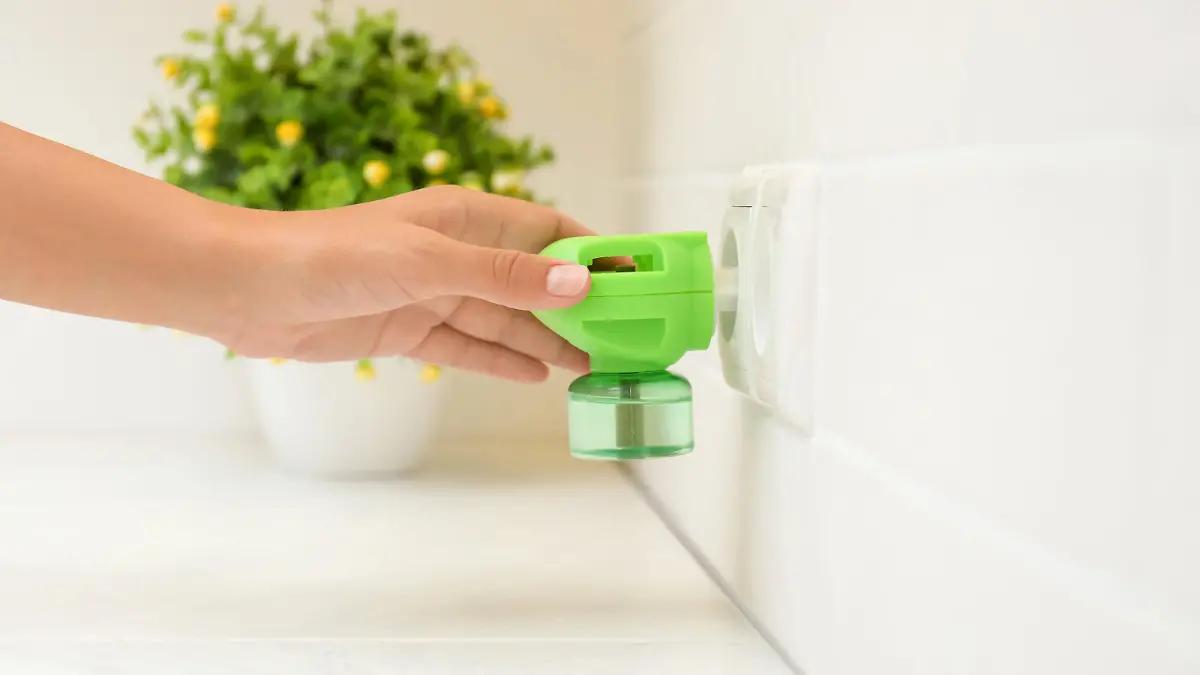 Woman plugging electric vaporizer with insect repellent liquid at home, closeup