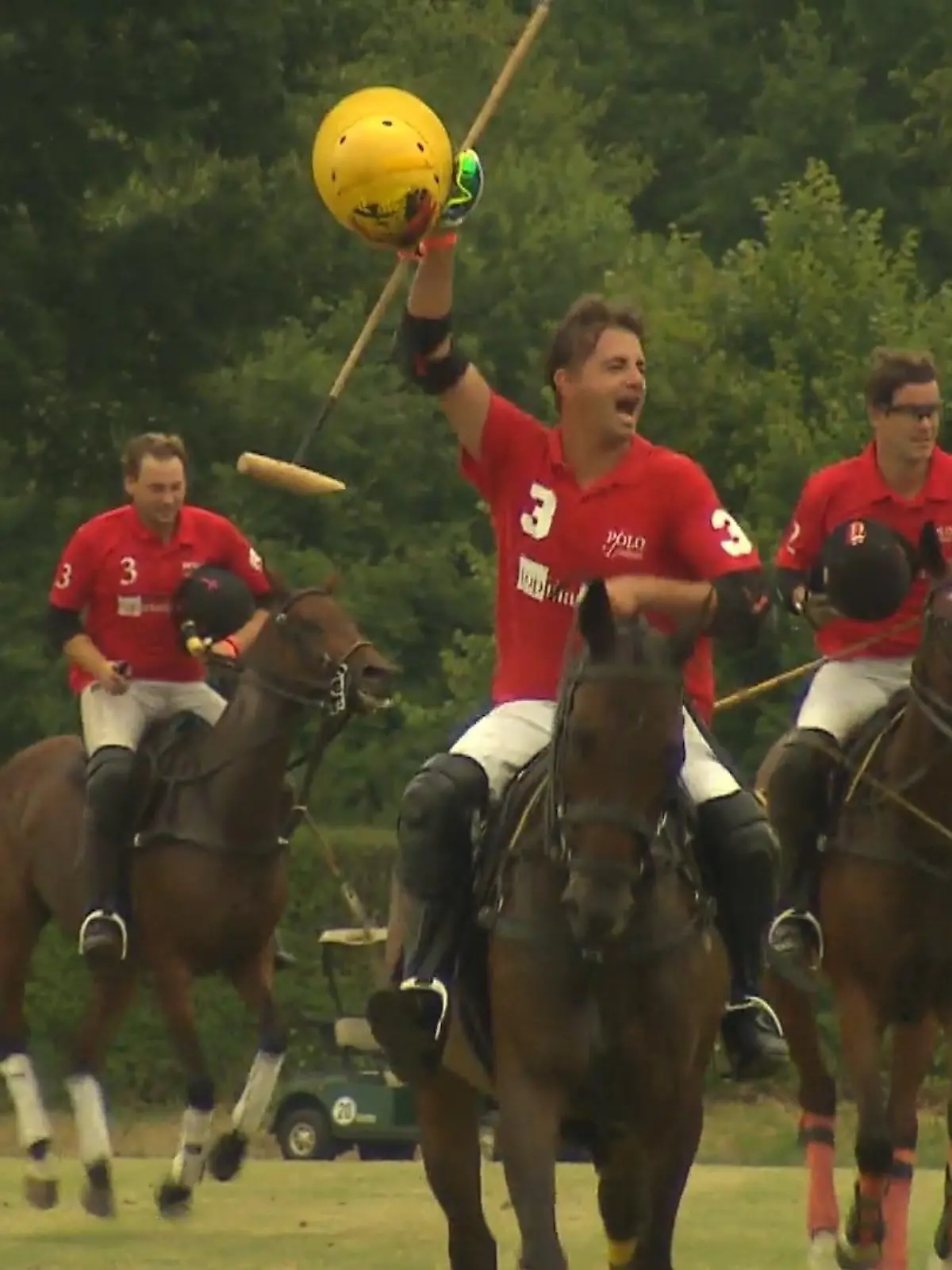 Bild zu: "Polopicknick in Münster"