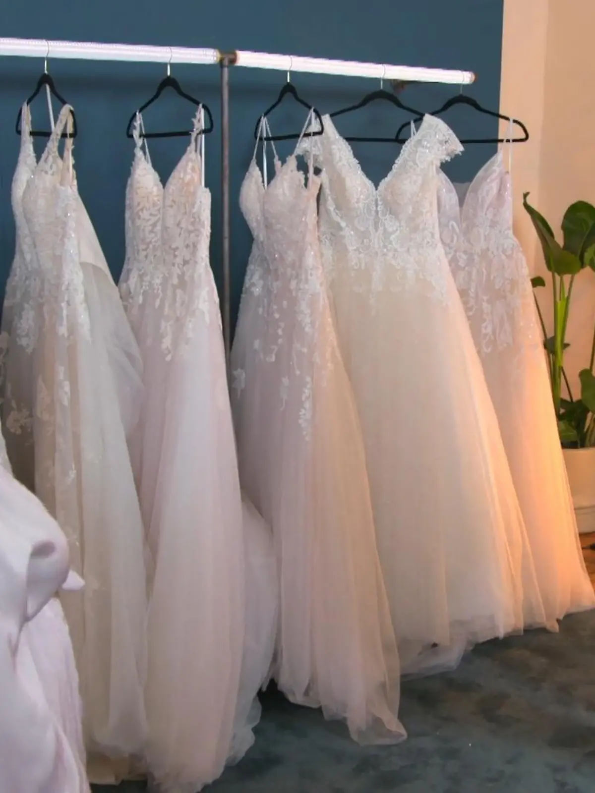 Bild zu: "Hannes will Vanessa überzeugen"