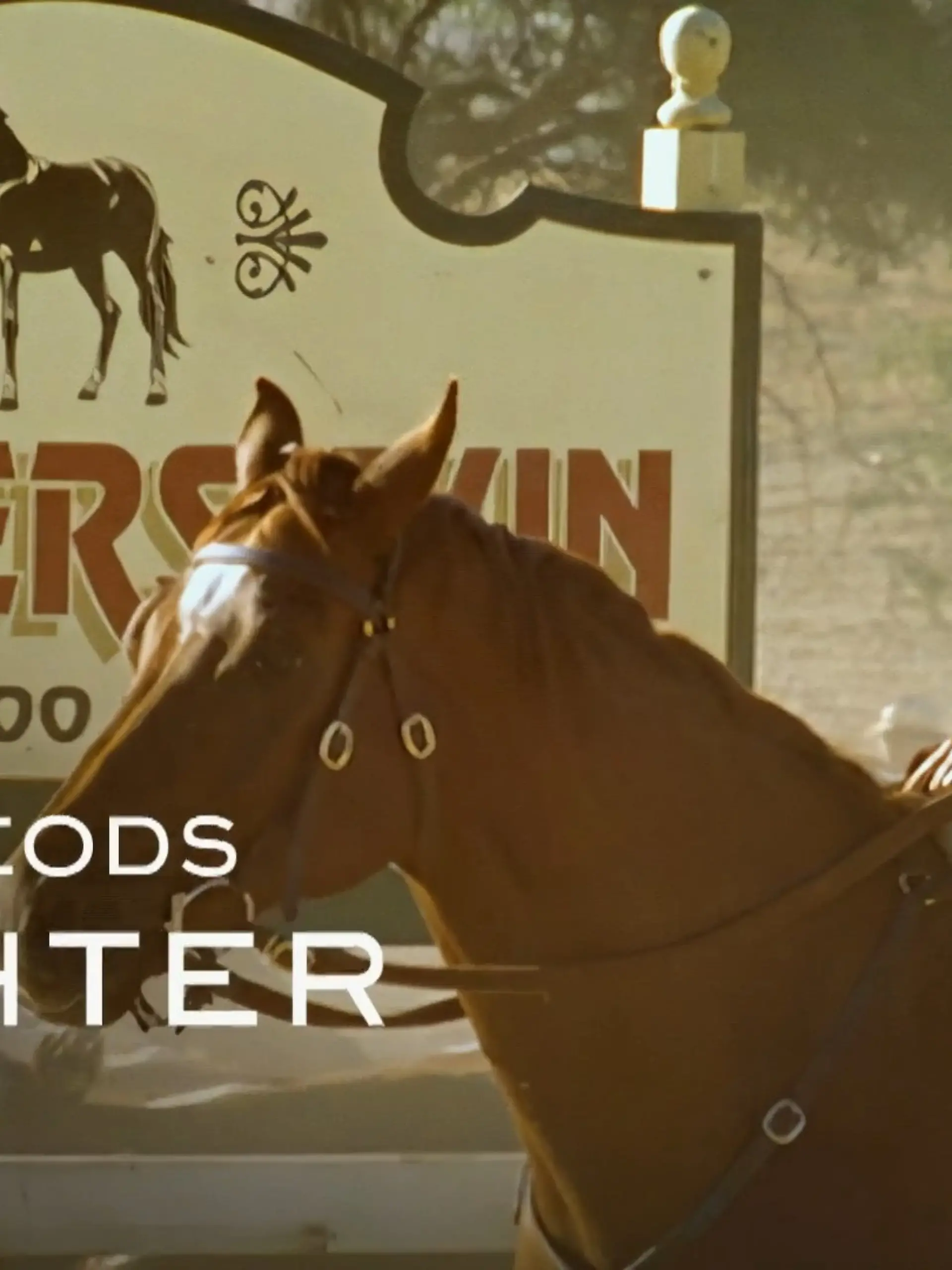 Bild zu: "McLeods Töchter (Trailer RTL Passion)"