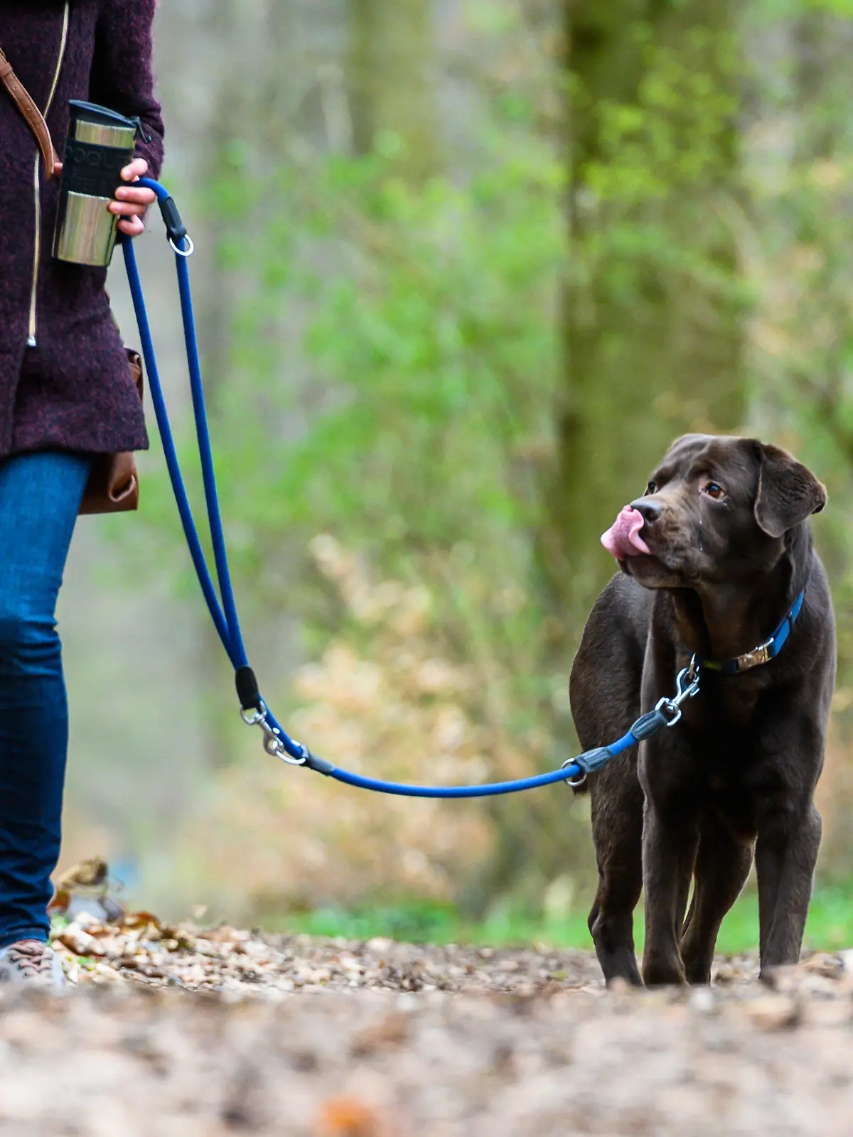 ARCHIV - 26.03.2019, Niedersachsen, Hannover: Eine Frau geht mit einem Hund an der Leine spazieren (zu dpa «Osterspaziergänge während der Brutzeit: Hunde an die Leine»). Foto: Christophe Gateau/dpa +++ dpa-Bildfunk +++