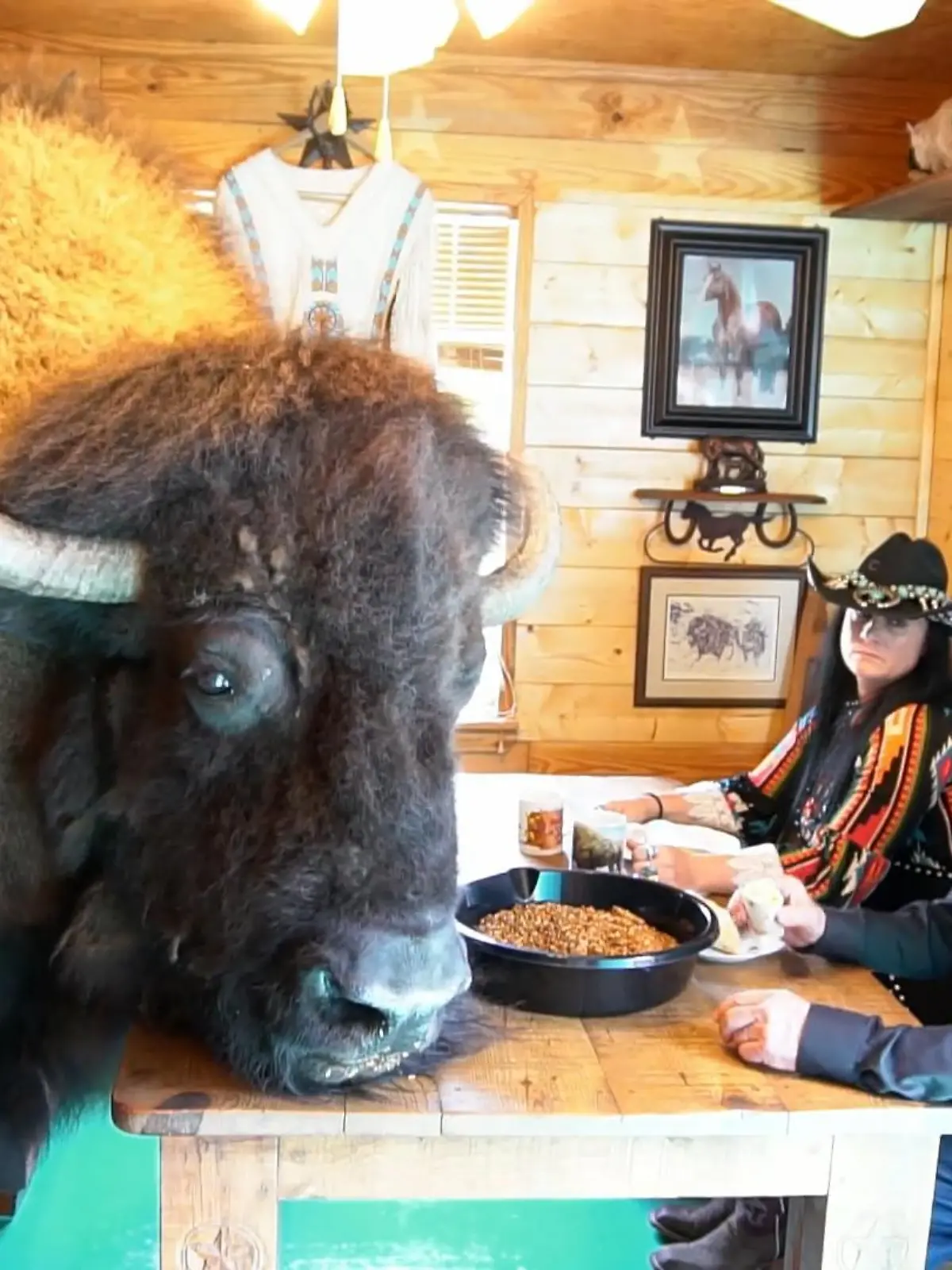 Bild zu: "US-Familie lebt mit Bison zusammen"