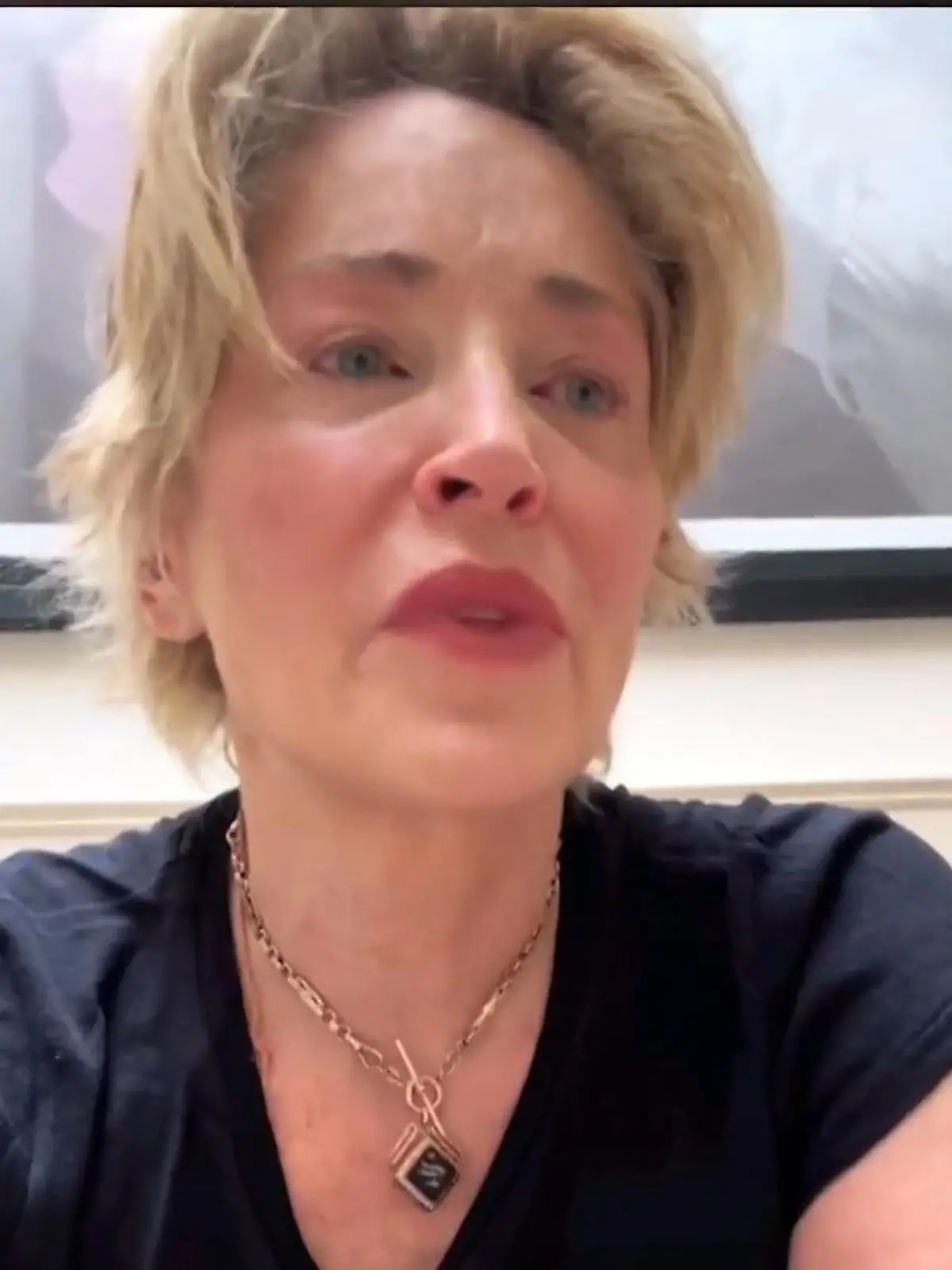 Bild zu: "Sharone Stone spricht über den Tod ihres Bruder Patrick"