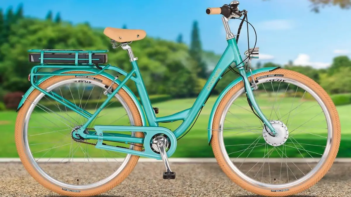 Ein blaues E-Bike auf einem Weg vor einer Wiese.
