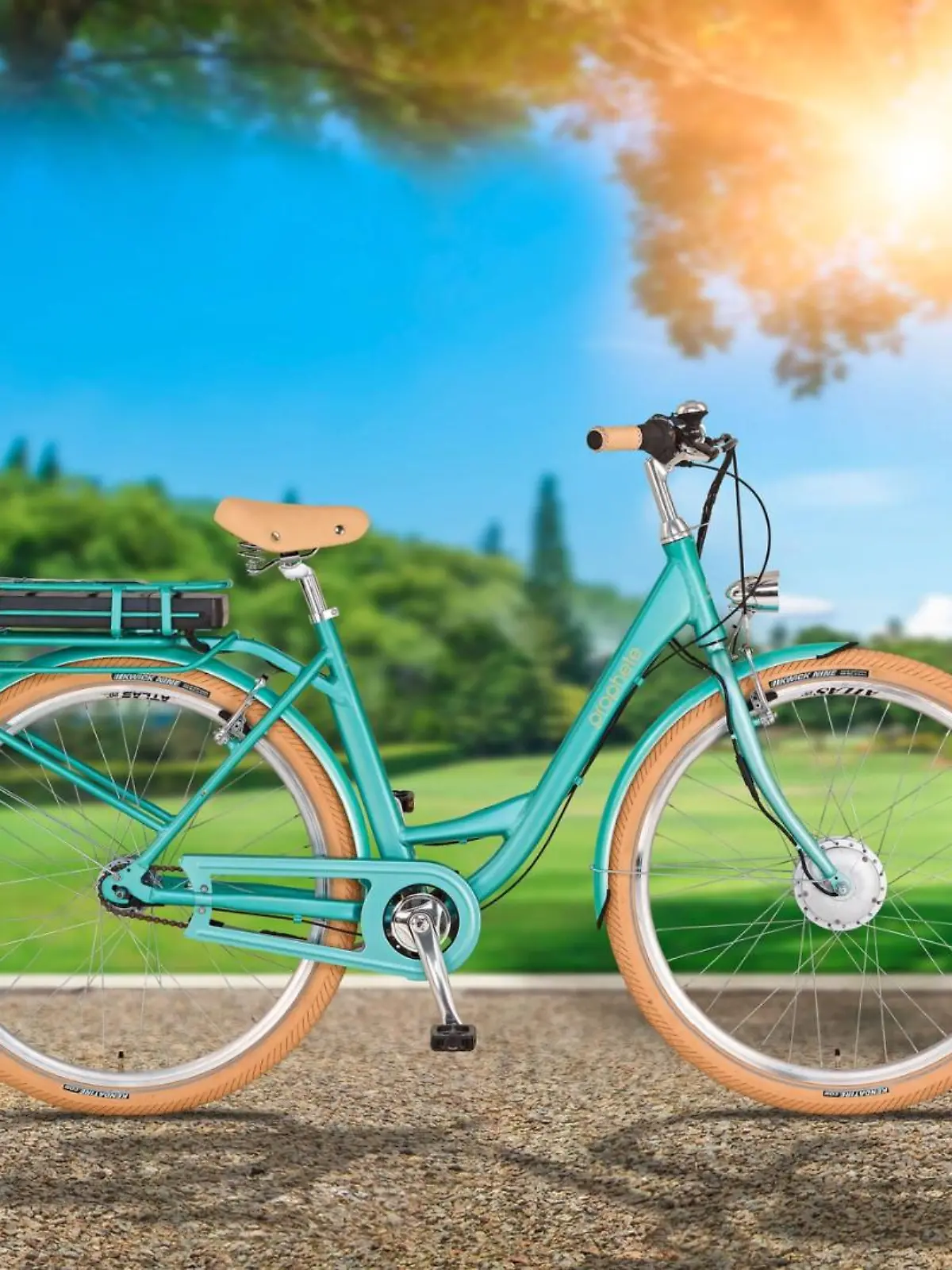 Ein blaues E-Bike auf einem Weg vor einer Wiese.