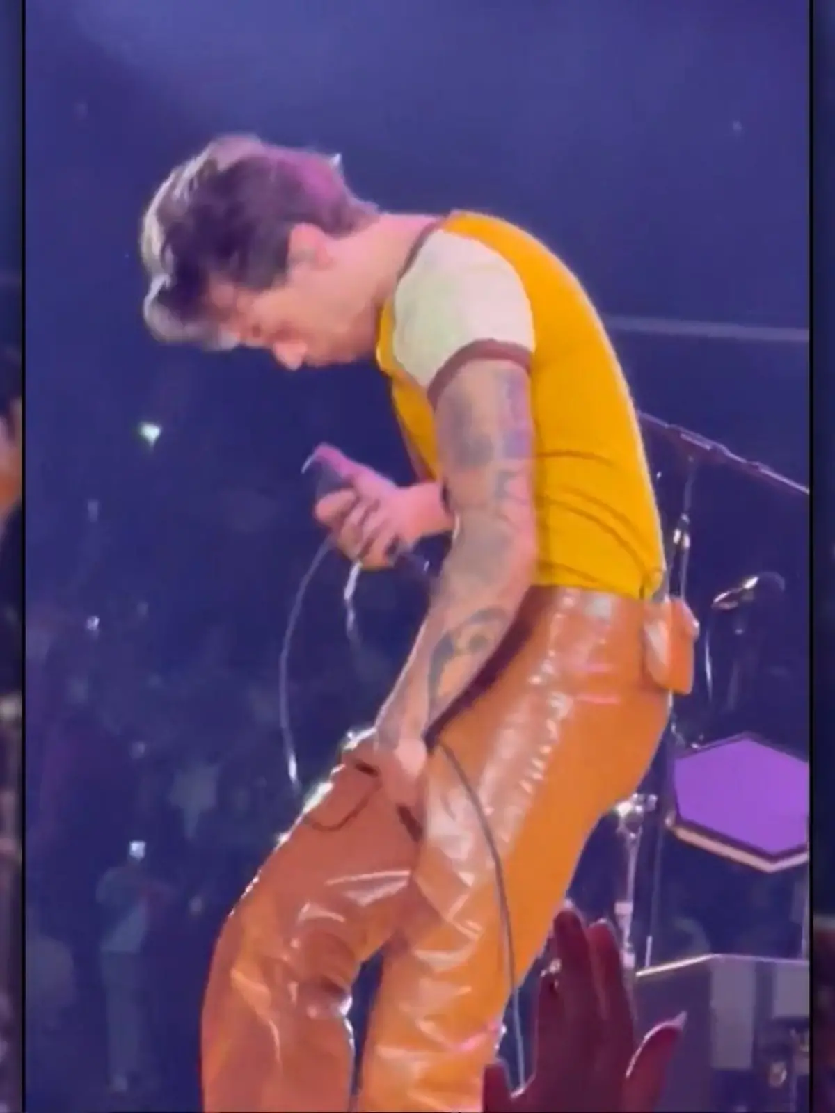 Bild zu: "Harry Styles platzt auf der Bühne die Hose"