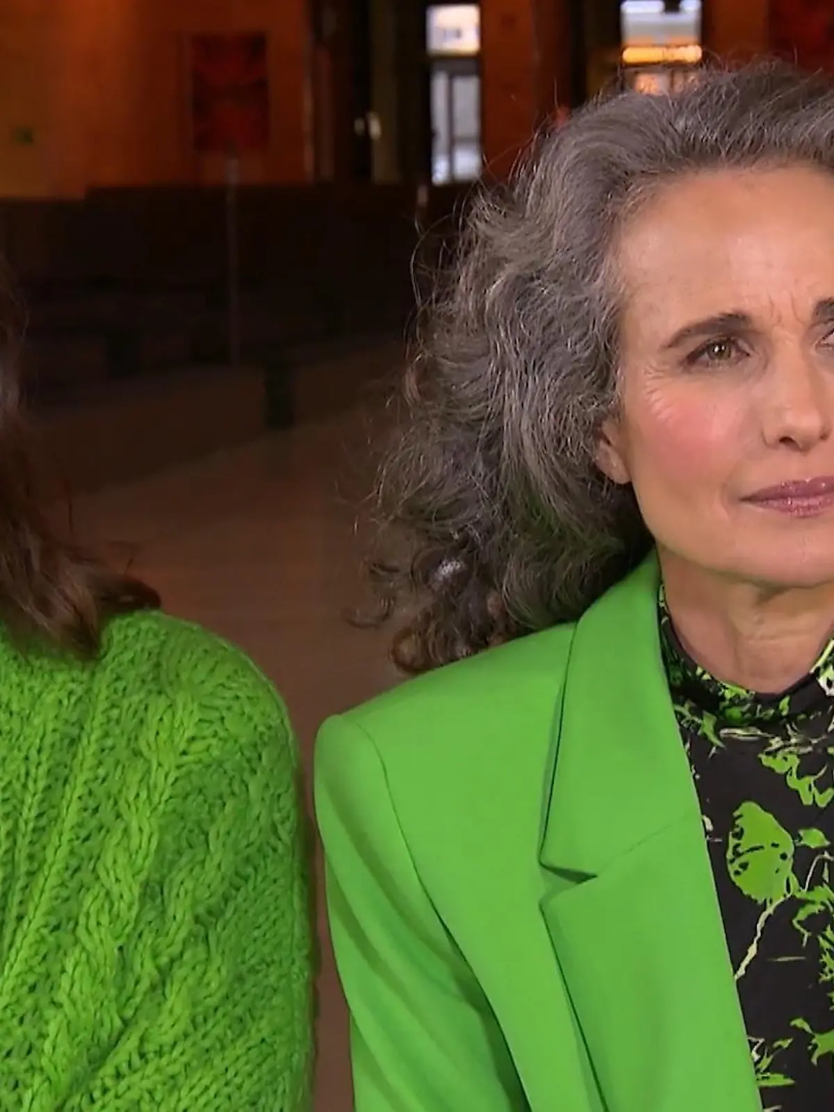 Bild zu: "Andie MacDowell hat ein Faible für Schimpfwörter"