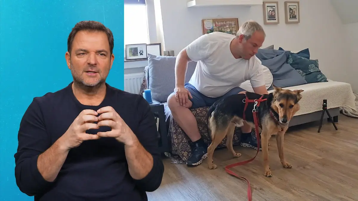 Charlie hält die Familie auf Trab Viel Stress