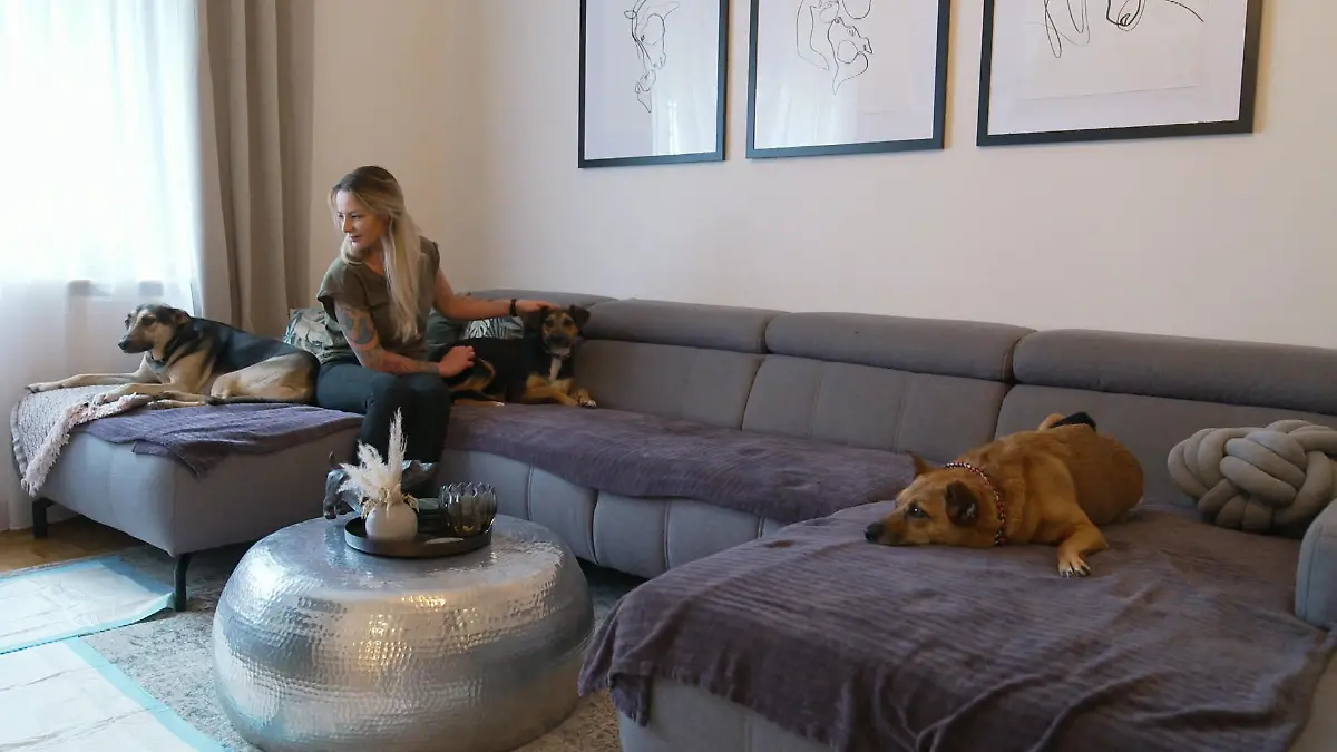 Anjas Hundefamilie bekommt Zuwachs Flöckchen zieht ein