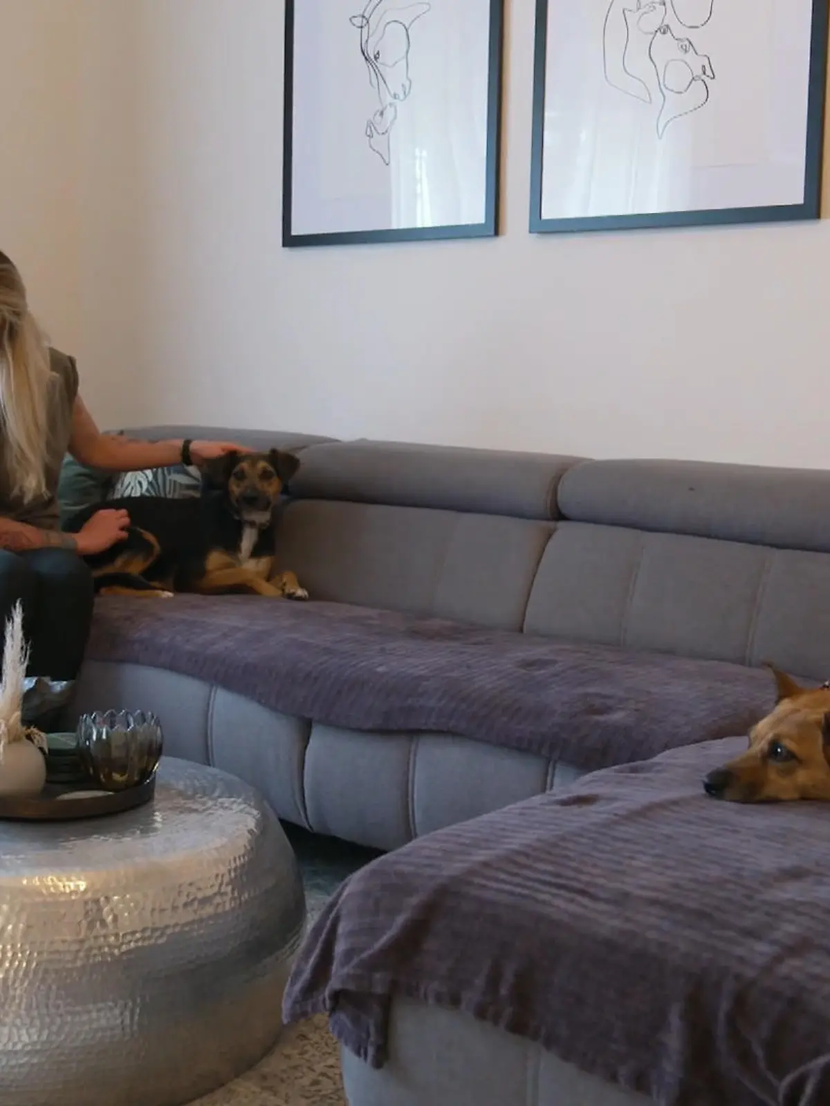 Bild zu: "Anjas Hundefamilie bekommt Zuwachs"