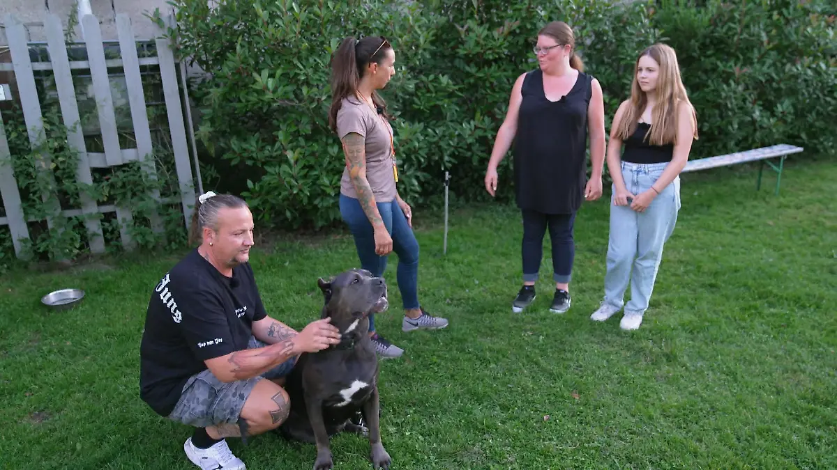 Intensives Training mit Yvi Kampfhund