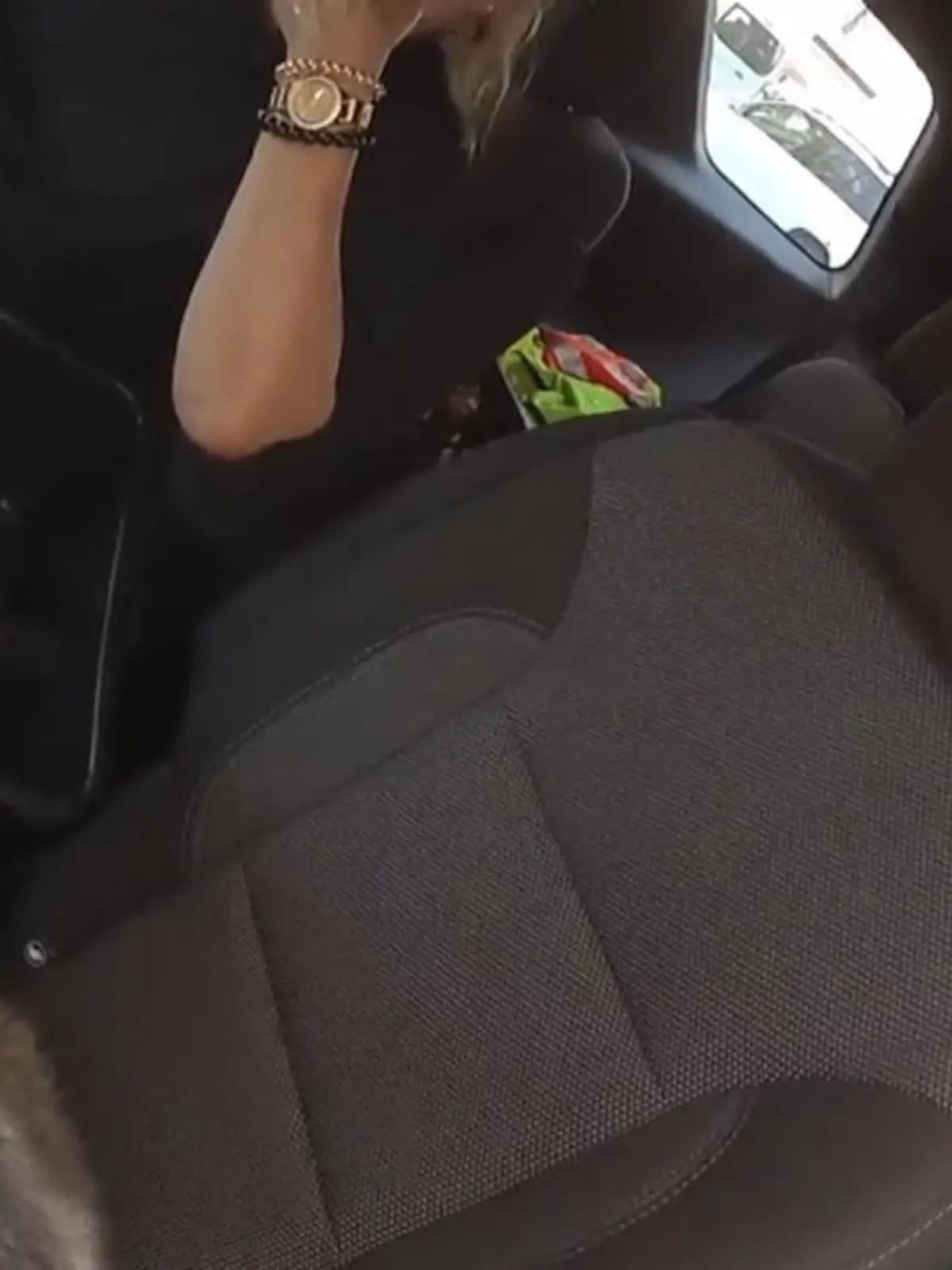 Das Sicherheitspersonal eines Kasinos in Las Vegas befreit einen Husky-Welpen aus einem völlig überhitzten Auto. Keine Klimaanlage, Futter oder Wasser - und das Maul verschlossen mit Klebeband.