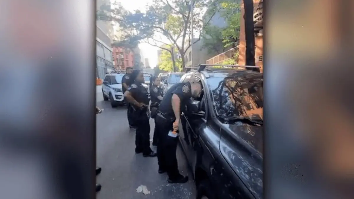 Im Juni retteten New Yorker Beamte einen Hund aus diesem überhitzen Auto.