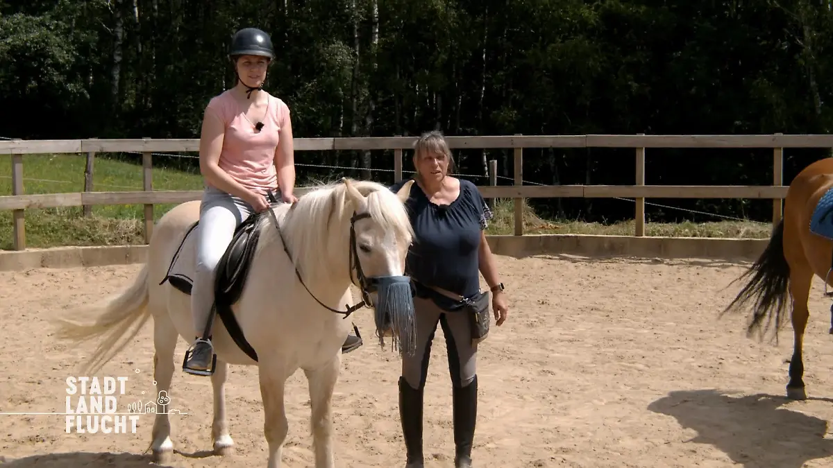 Der Reitstall - Ein großer Pluspunkt Entscheidung getroffen?