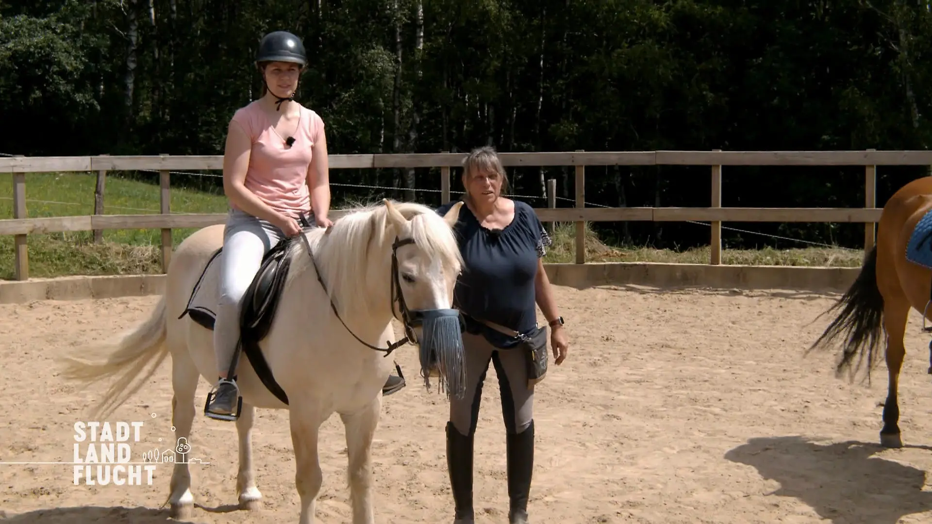 Der Reitstall - Ein großer Pluspunkt Entscheidung getroffen?