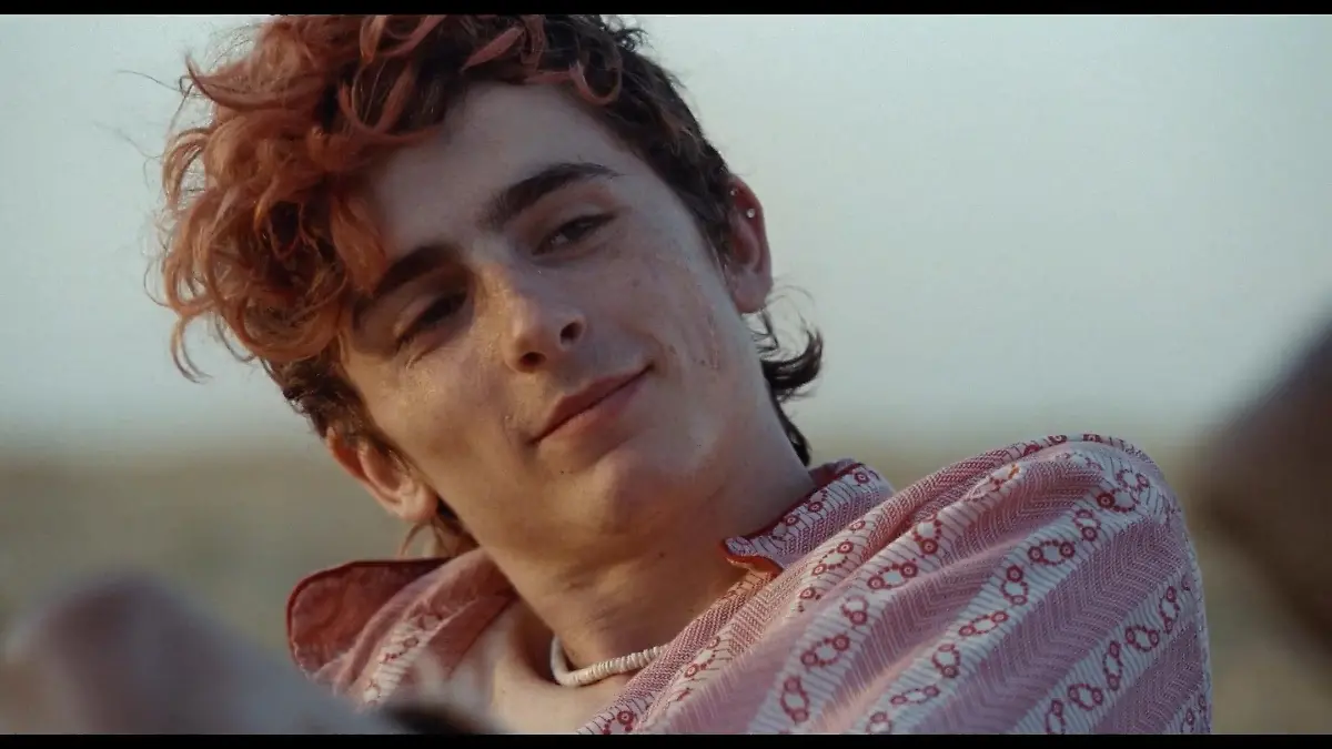 Timothée Chalamet als Kannibale in "Bones And All" Trailer Bones And All